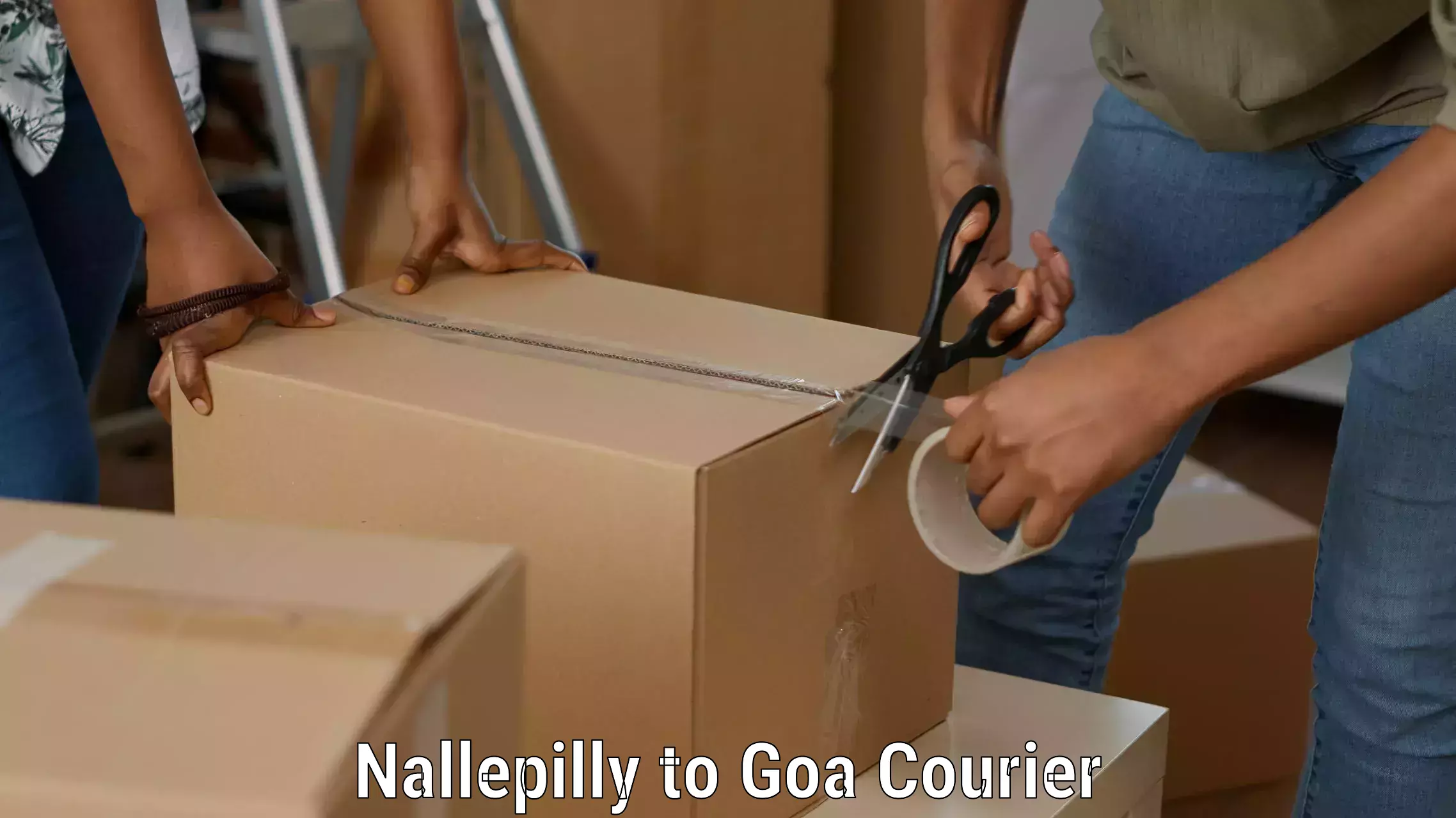Secure shipping methods Nallepilly to Bicholim