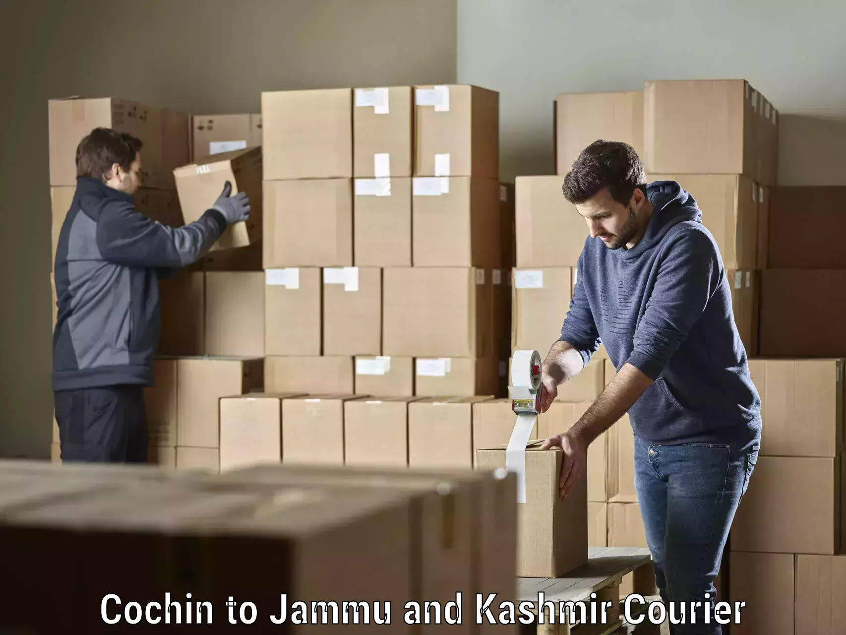 Professional courier services Cochin to Kupwara