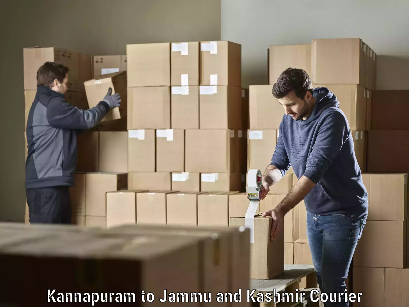 Reliable delivery network Kannapuram to Budgam