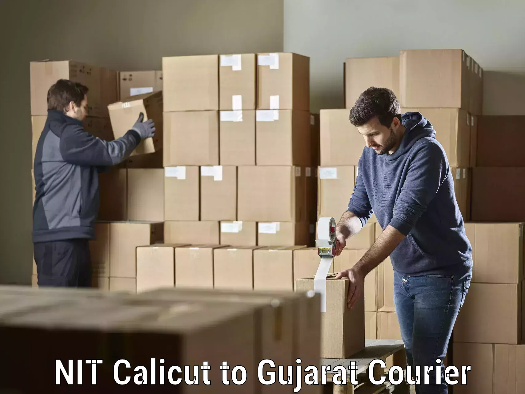 Emergency parcel delivery NIT Calicut to IIIT Vadodara