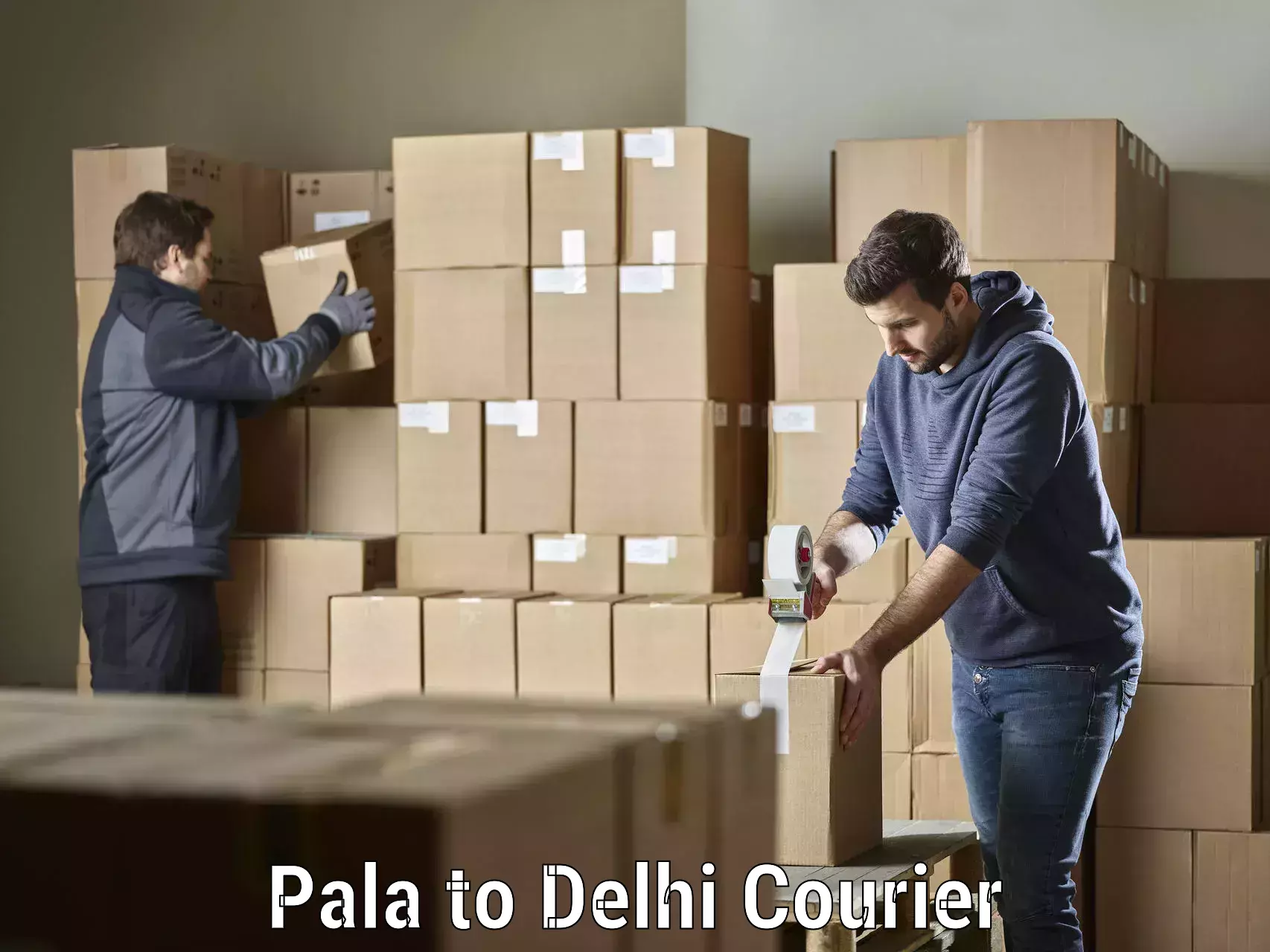 State-of-the-art courier technology Pala to Ashok Vihar
