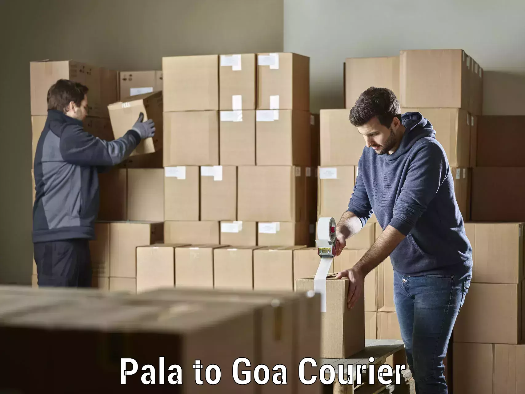 International parcel service Pala to Goa