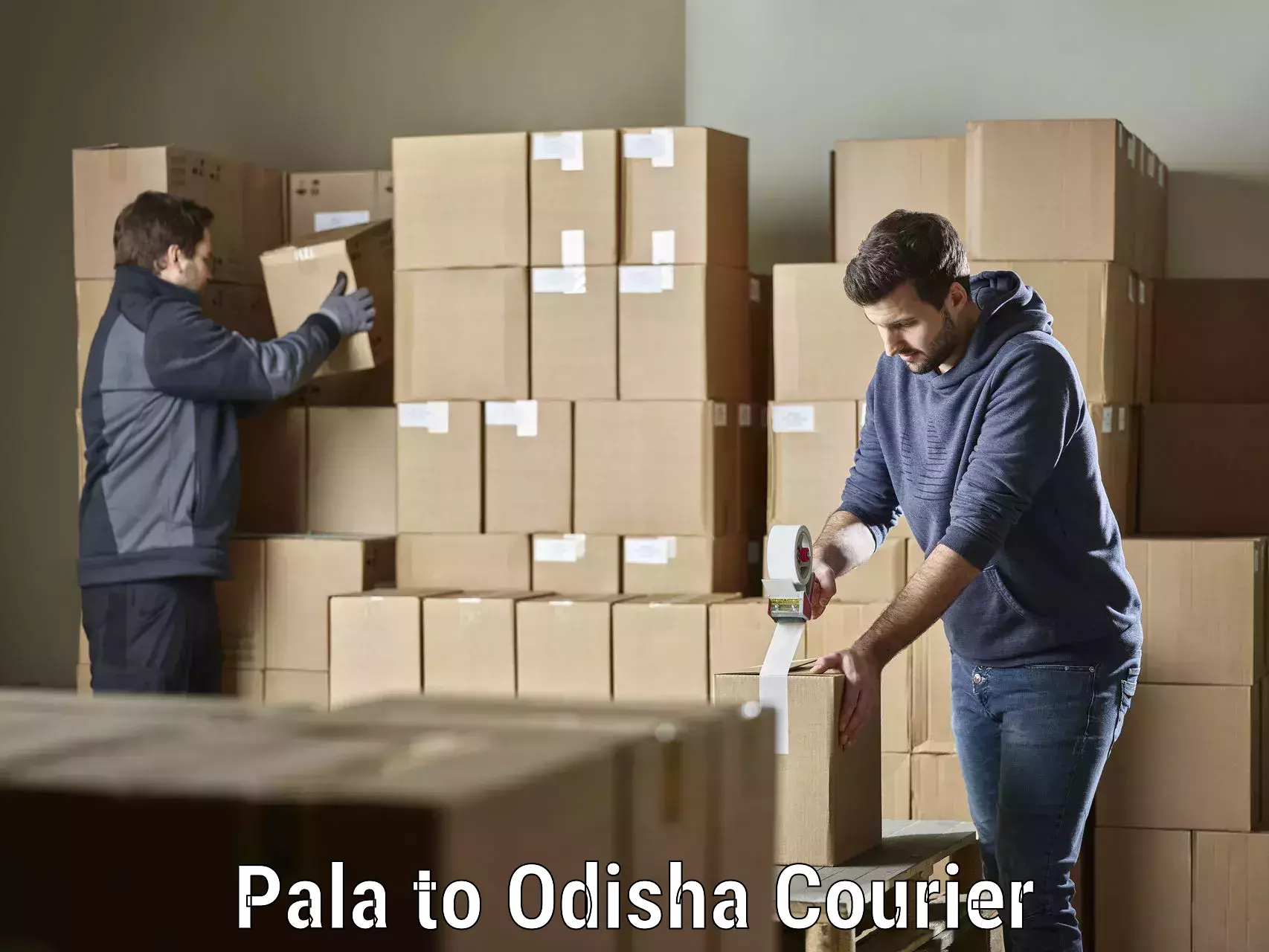 Personal courier services Pala to Bhubaneswar