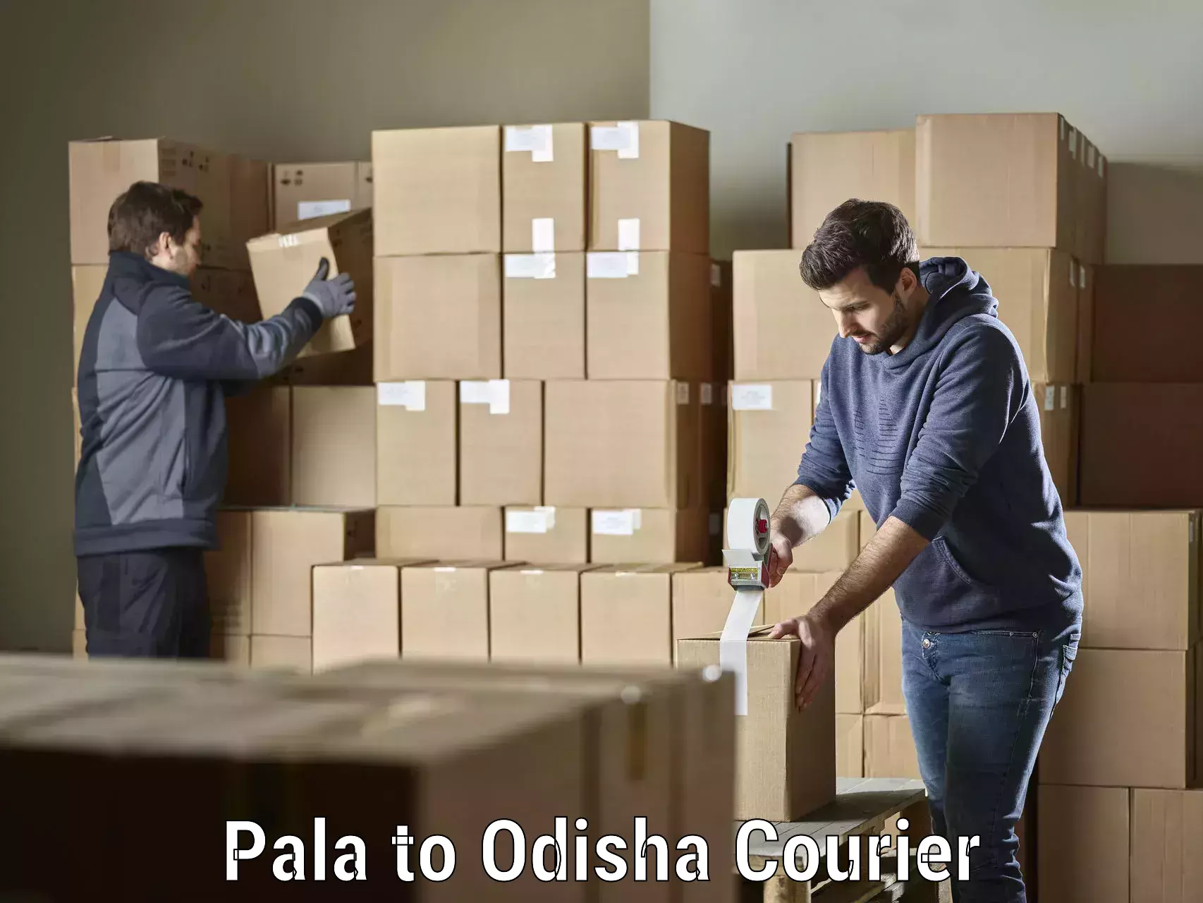 Air courier services Pala to IIT Bhubaneshwar