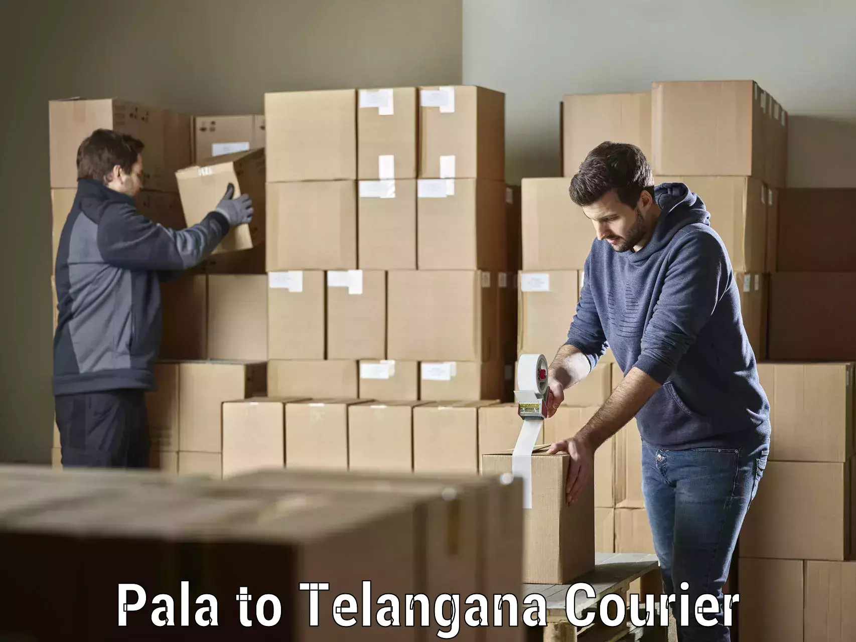 Parcel handling and care Pala to Narsampet