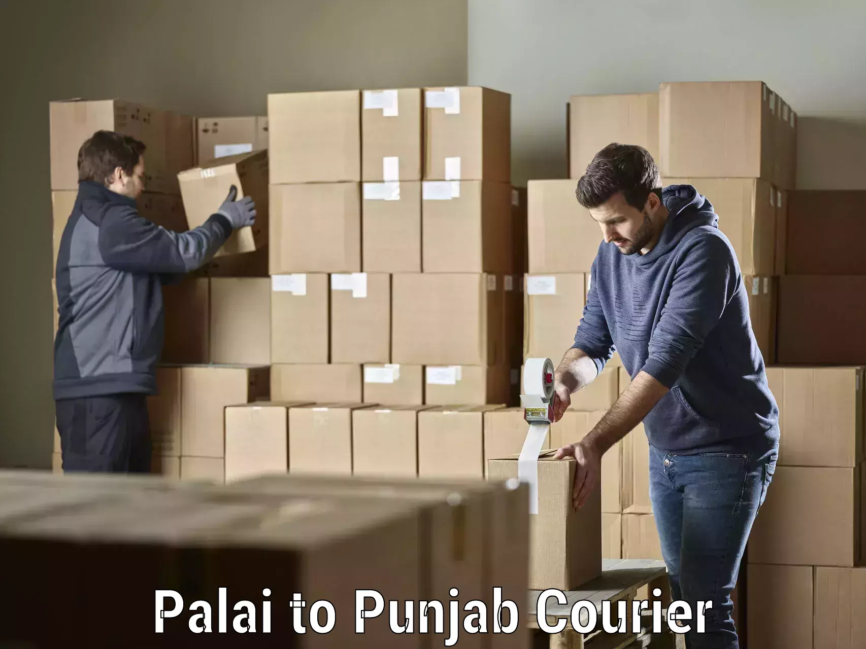 Specialized shipment handling Palai to Nabha