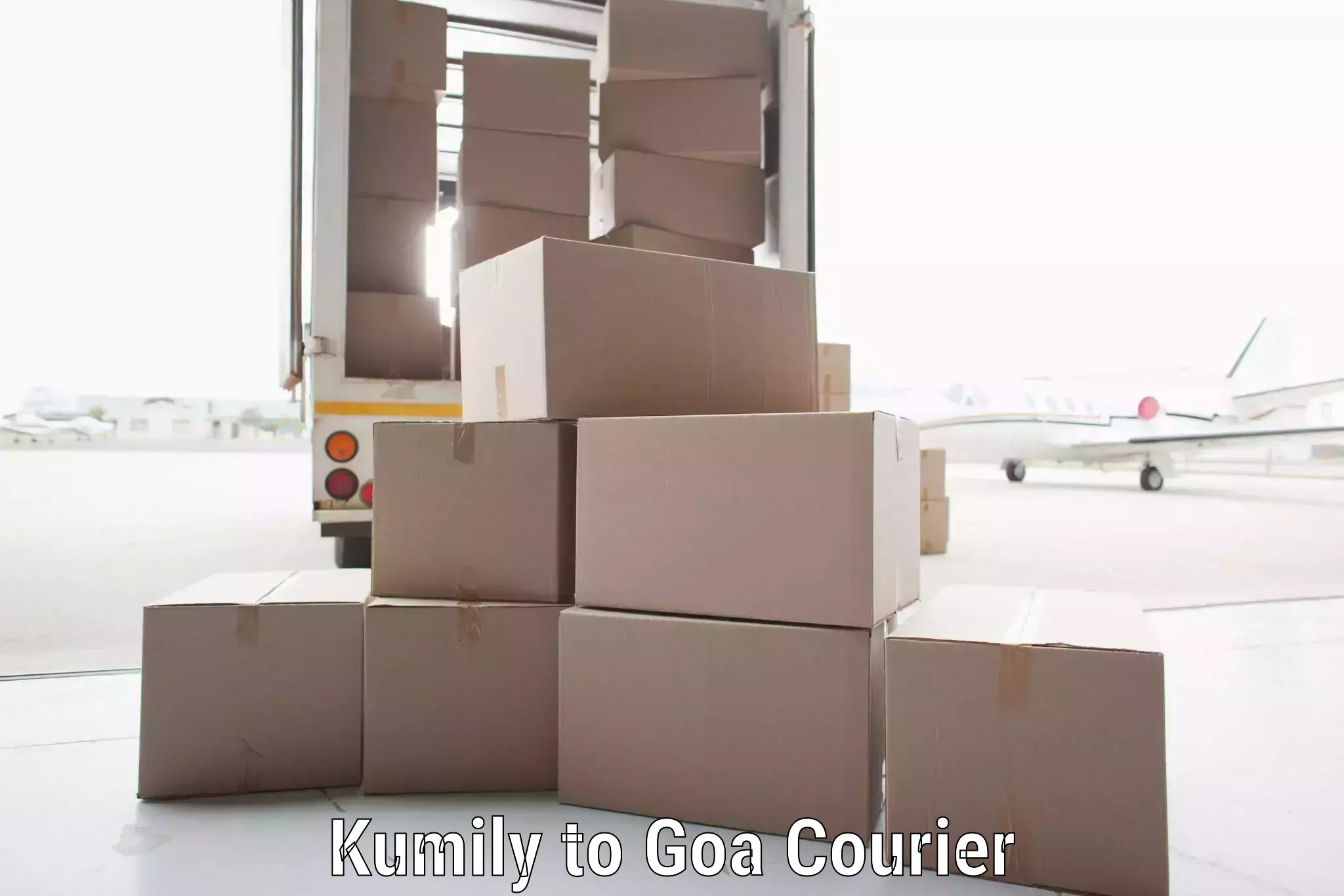 Fast parcel dispatch Kumily to IIT Goa