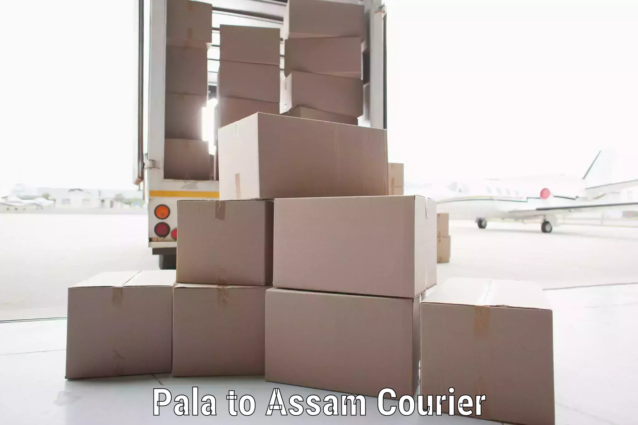 Professional courier handling Pala to Golaghat