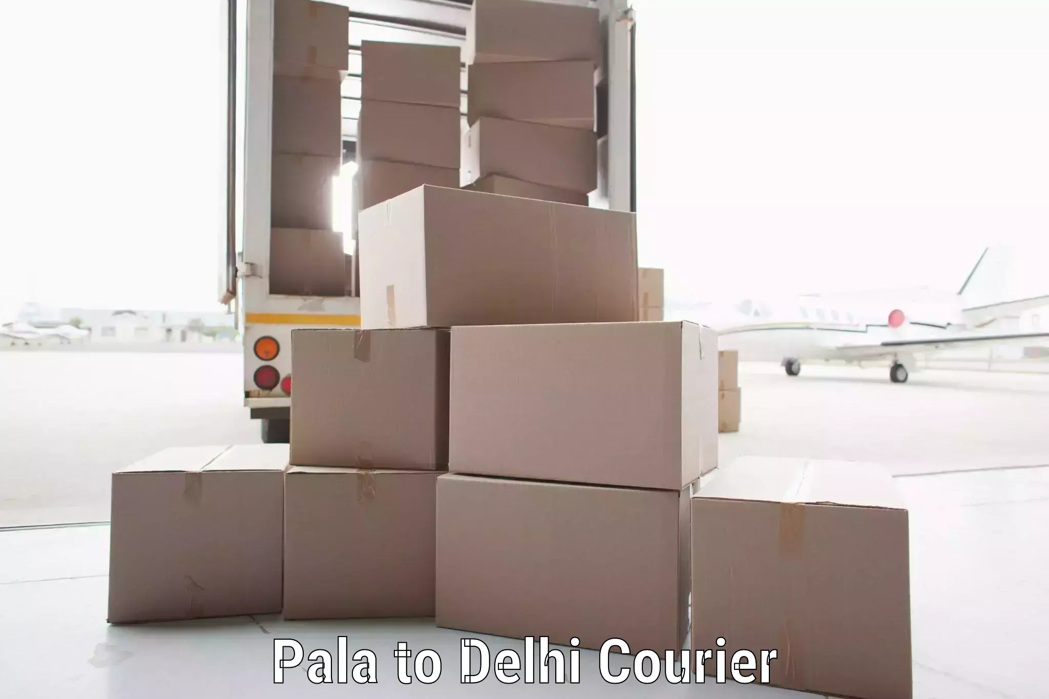 Multi-service courier options Pala to Delhi