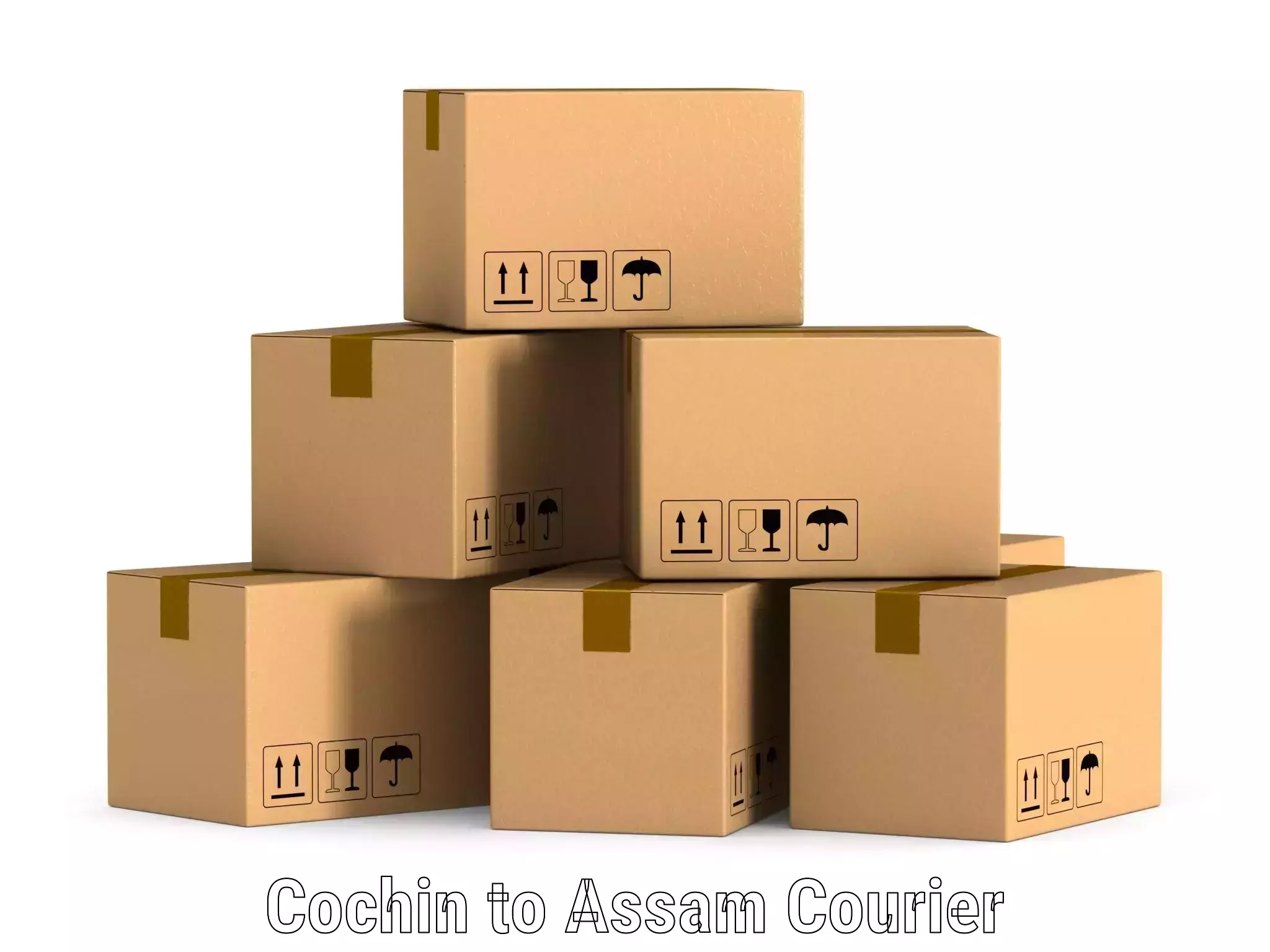 Express courier capabilities Cochin to Agomani
