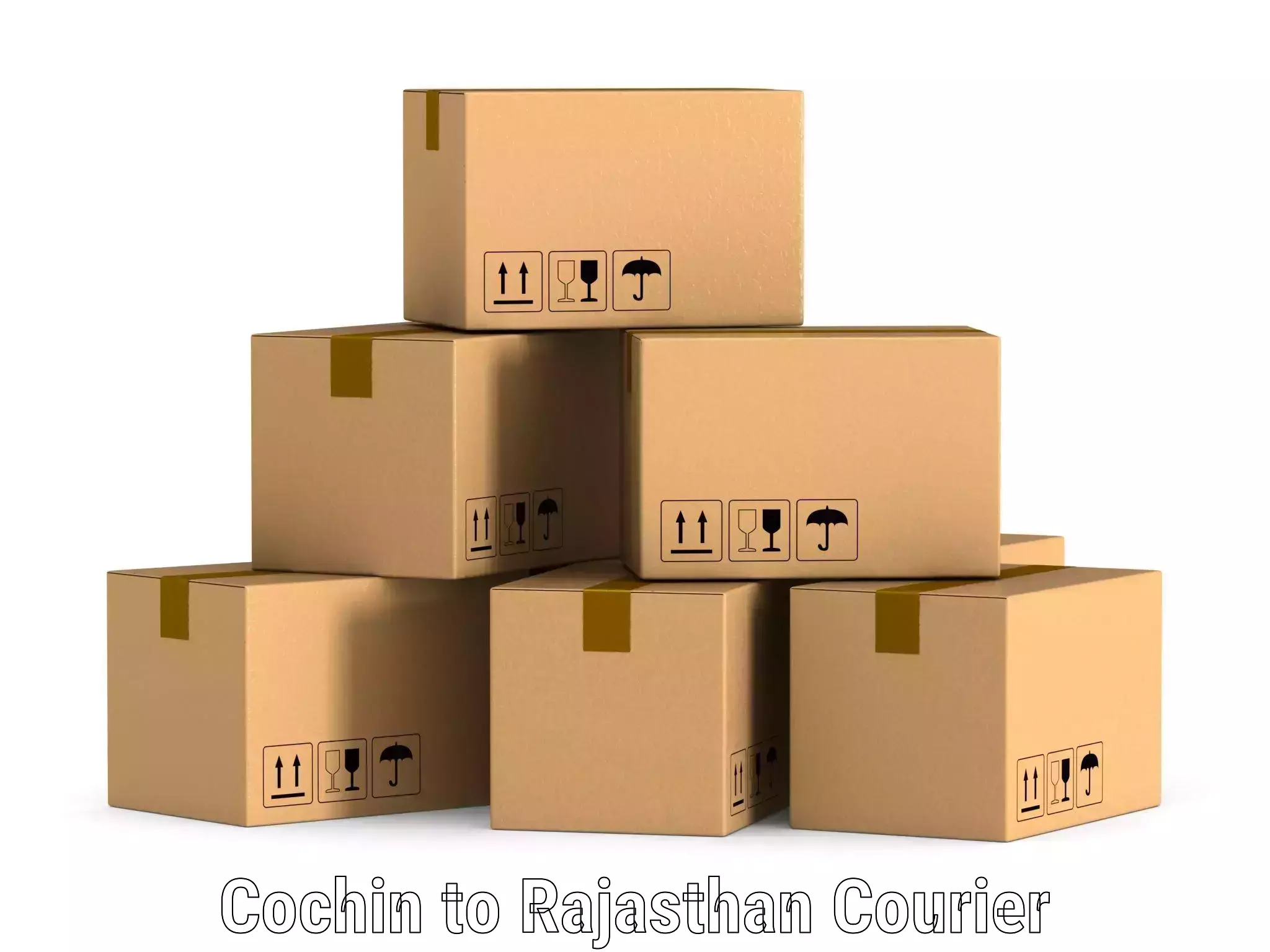 Multi-city courier Cochin to Rajasthan