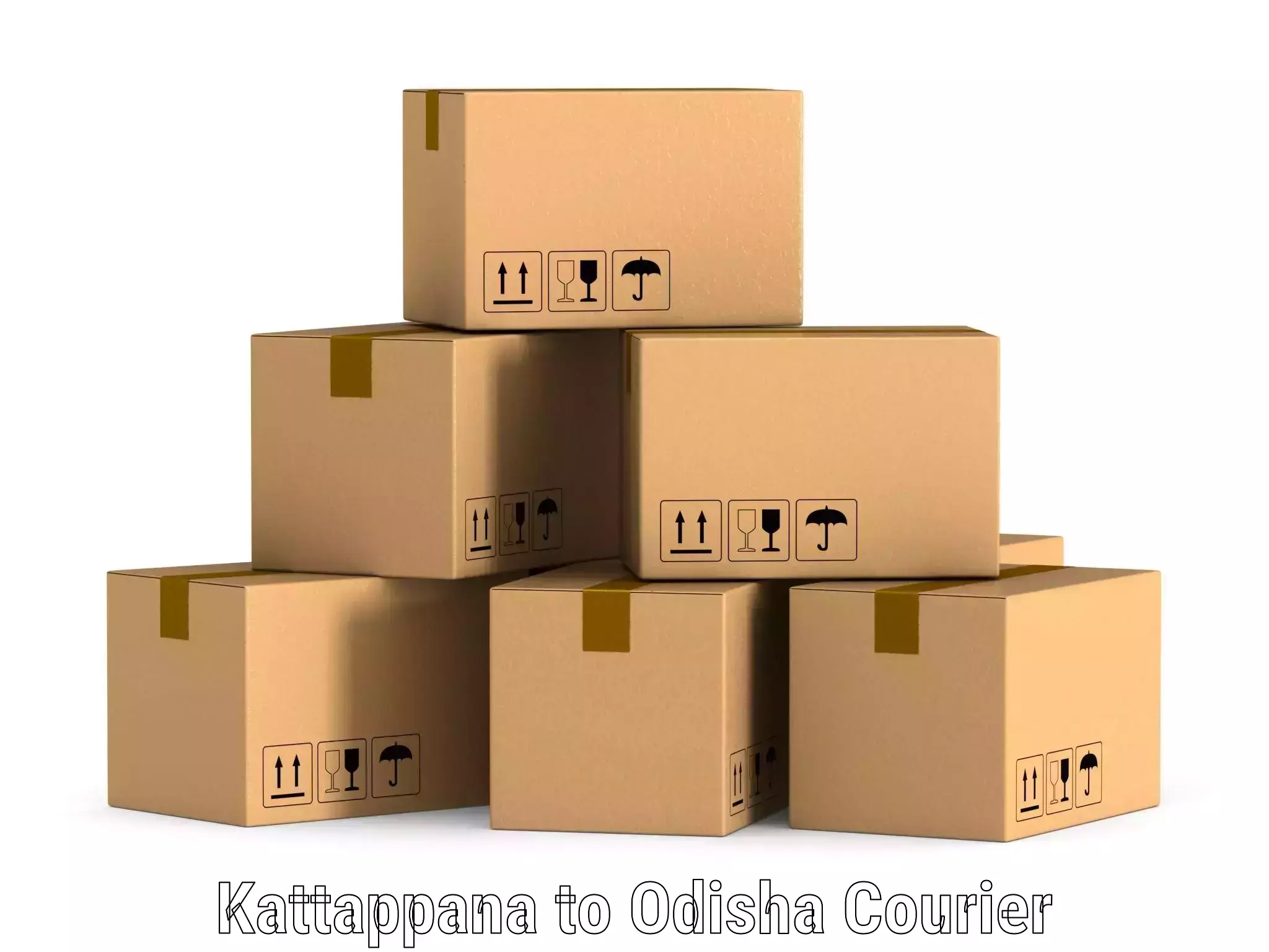 Courier service comparison Kattappana to Odisha