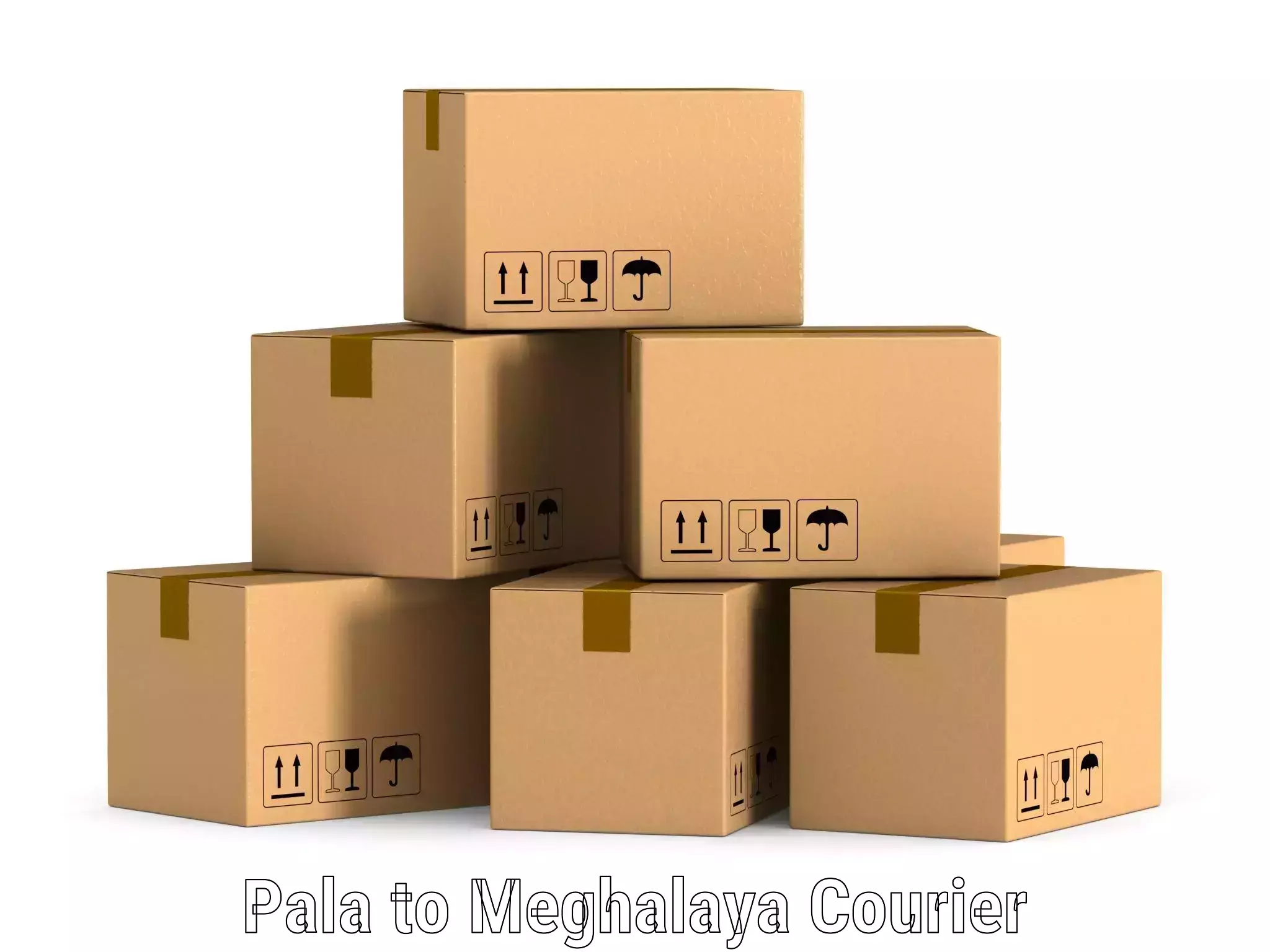 Affordable shipping rates Pala to Shillong