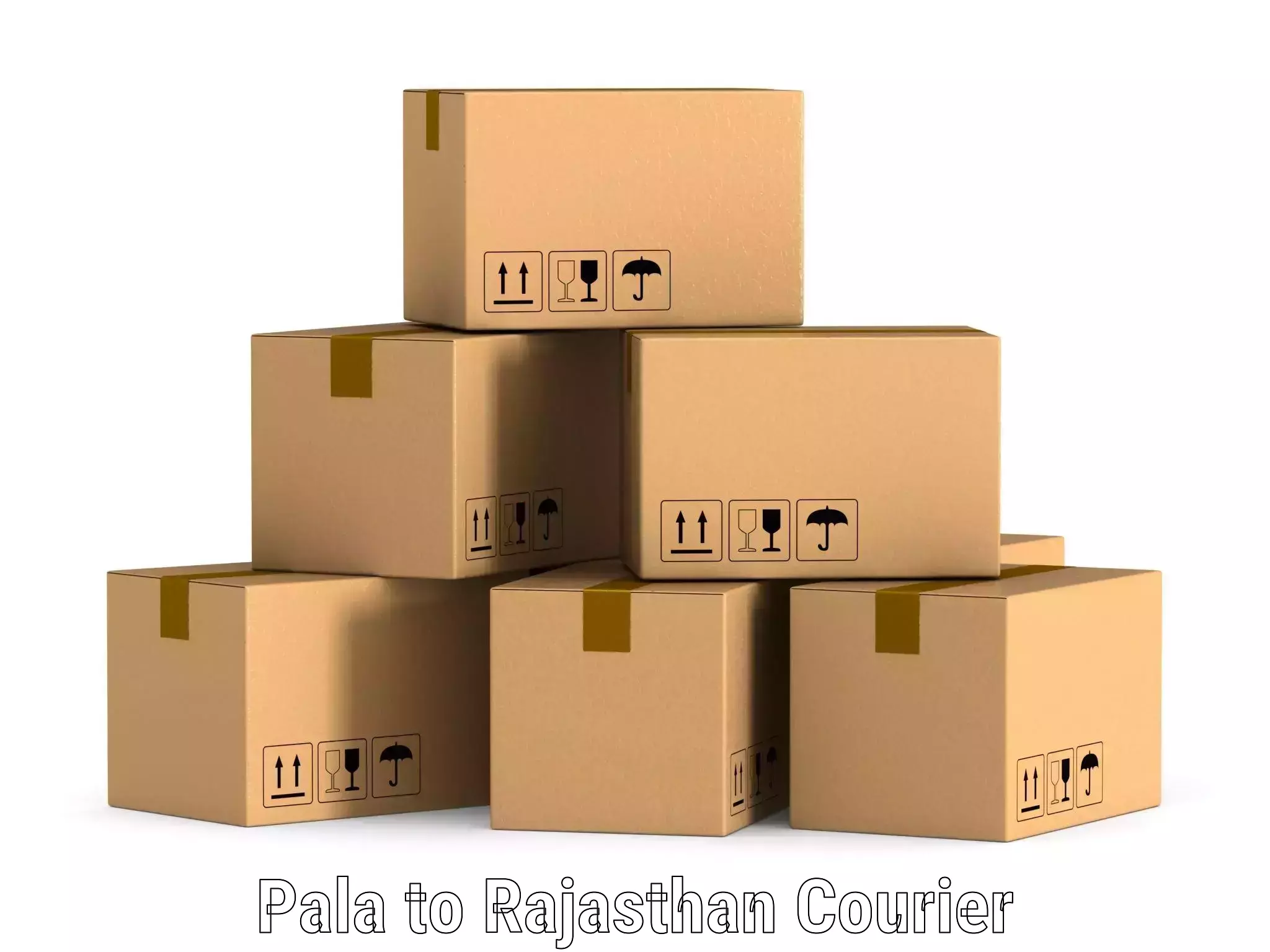 Seamless shipping service Pala to Madanganj Kishangarh