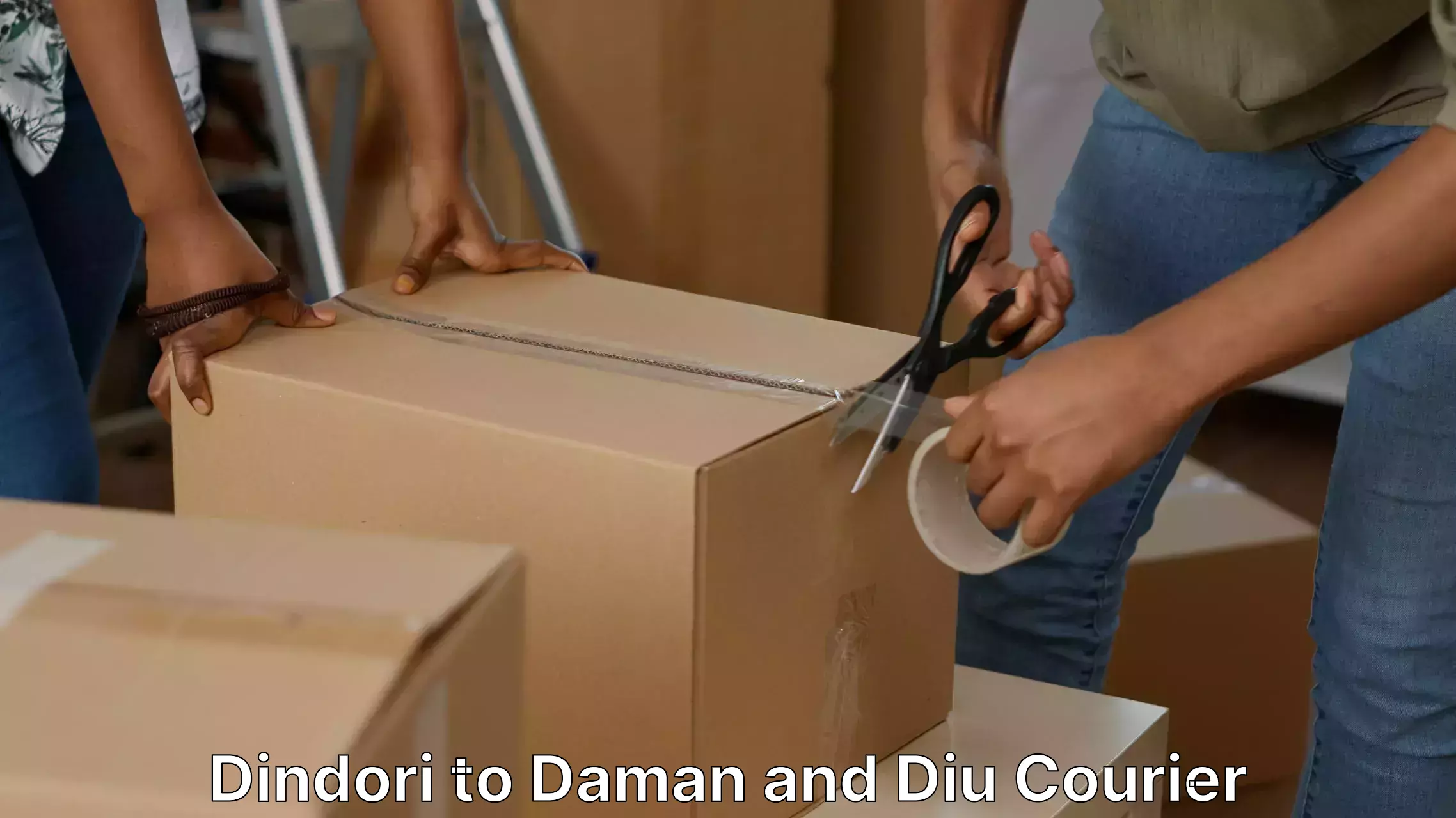 Home goods moving company Dindori to Diu
