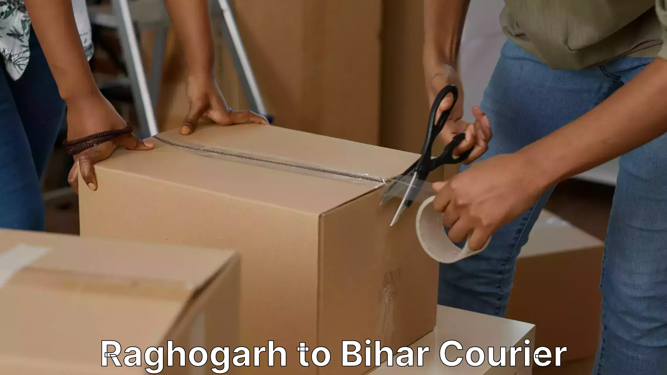 Professional moving company Raghogarh to Dumraon