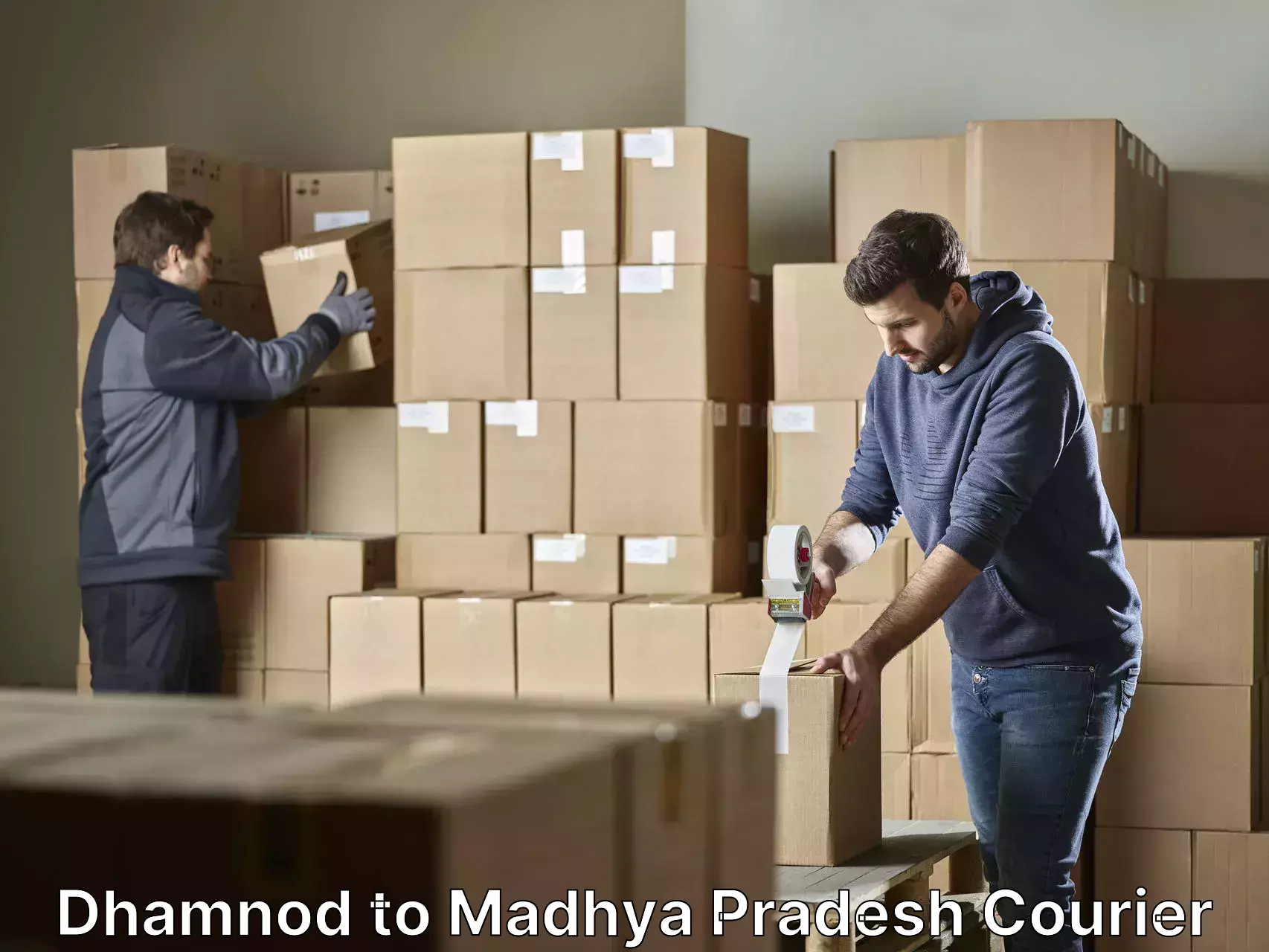 Efficient home movers Dhamnod to Amarwara