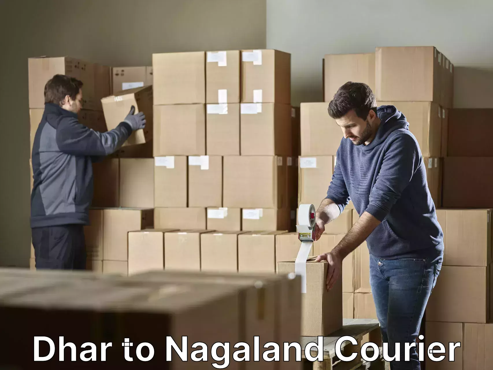 Custom furniture transport in Dhar to Nagaland