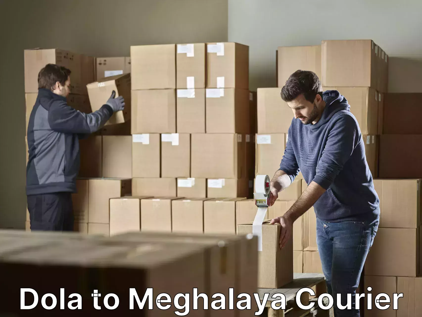 Specialized household transport Dola to Meghalaya