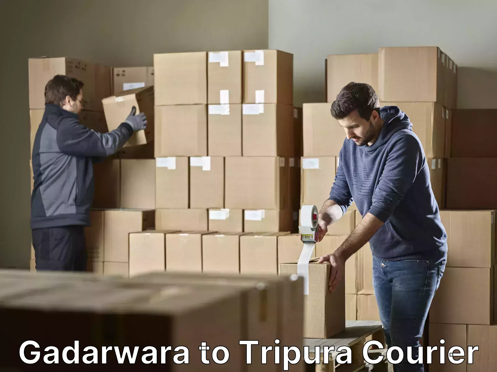 Moving and handling services Gadarwara to Tripura