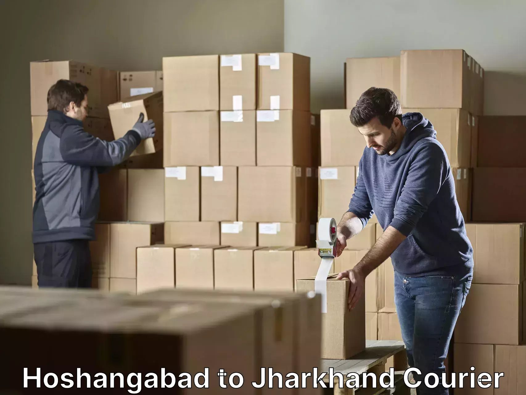 Furniture moving assistance in Hoshangabad to Patan Palamu