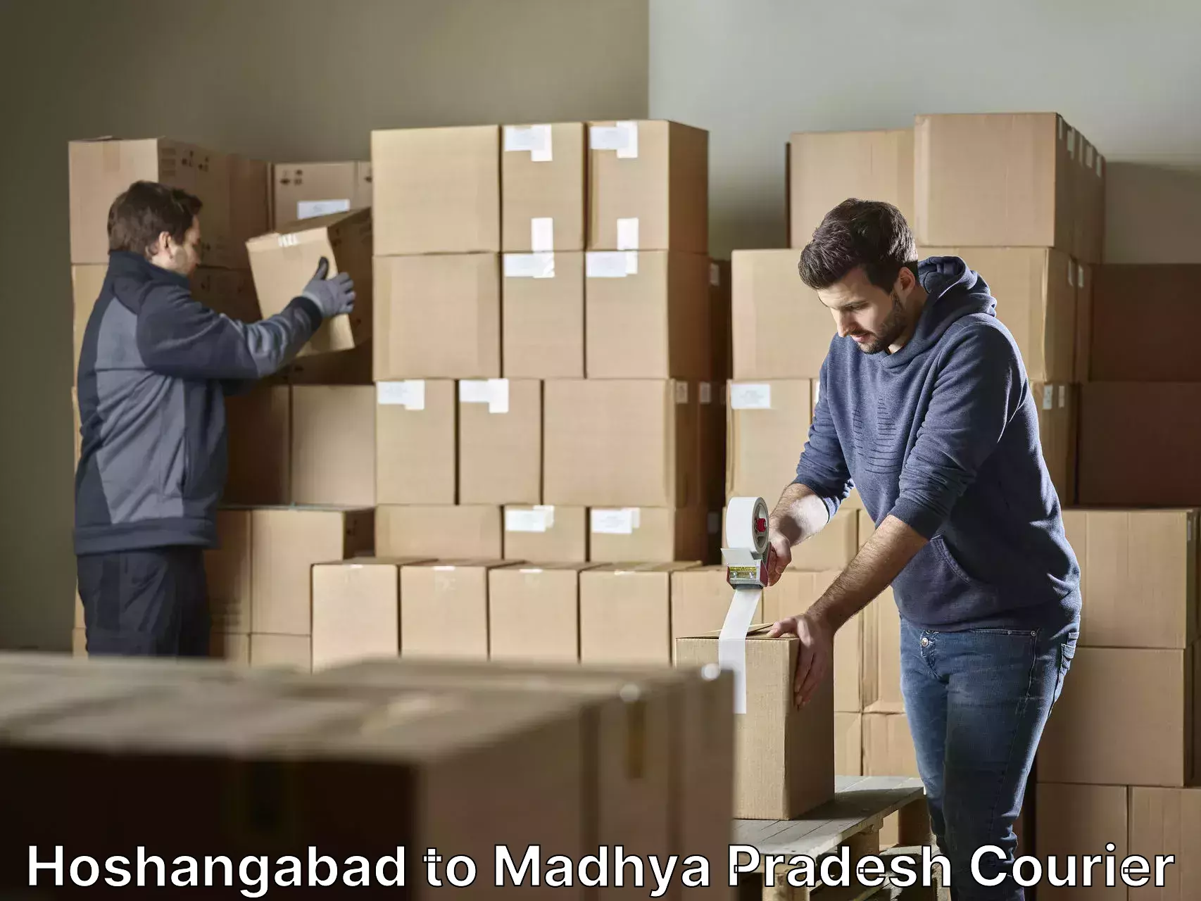 Professional home goods transport Hoshangabad to Nalkheda