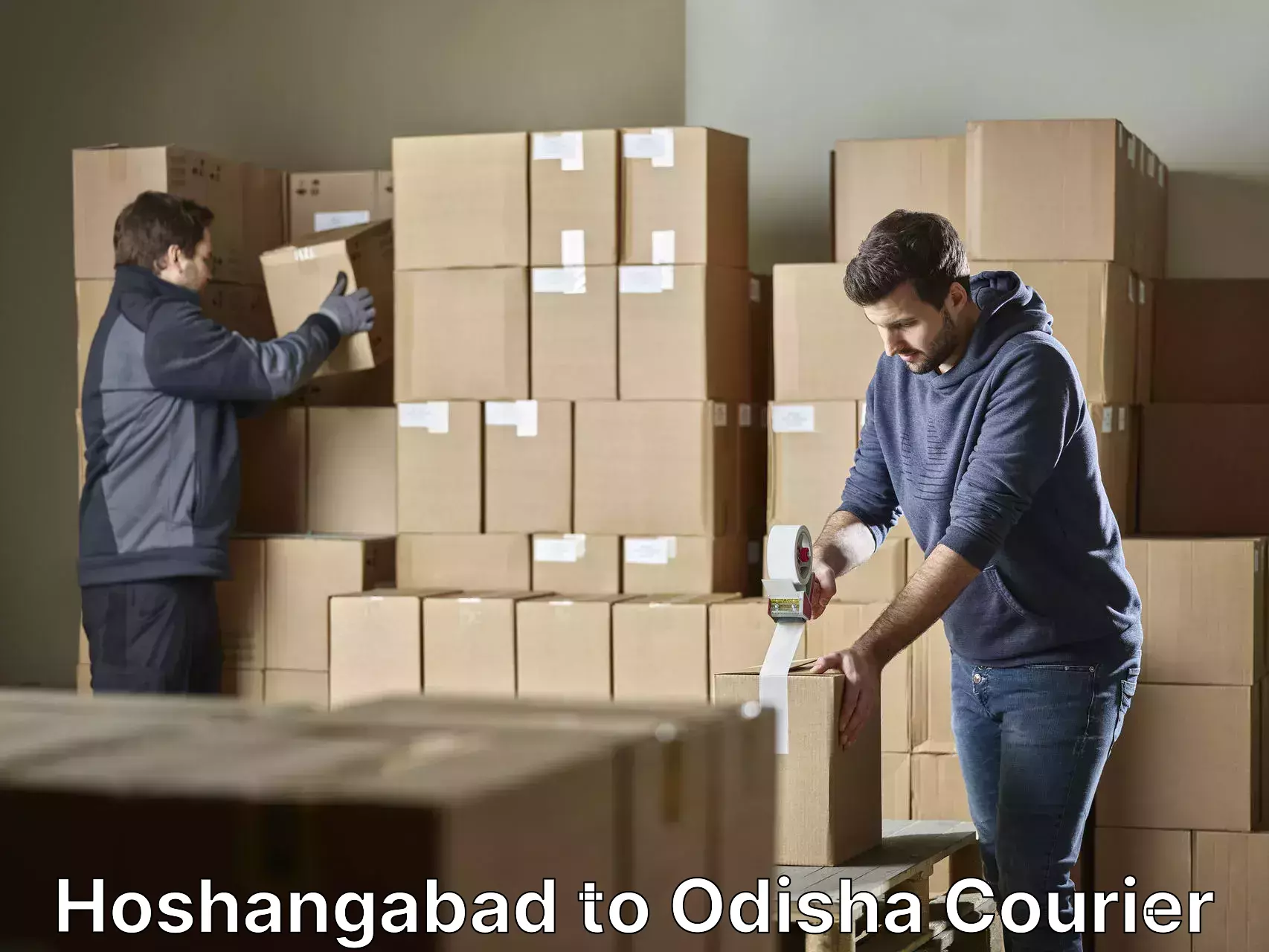 Furniture moving assistance Hoshangabad to Kishorenagar