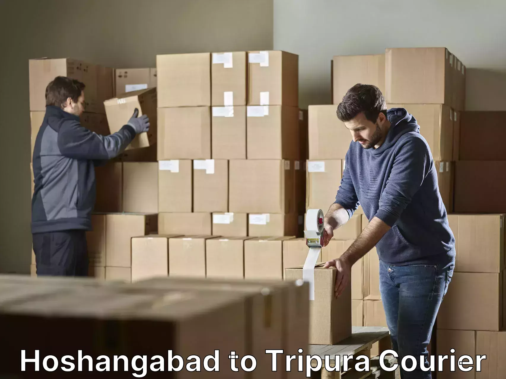 Professional home goods transport Hoshangabad to Santirbazar