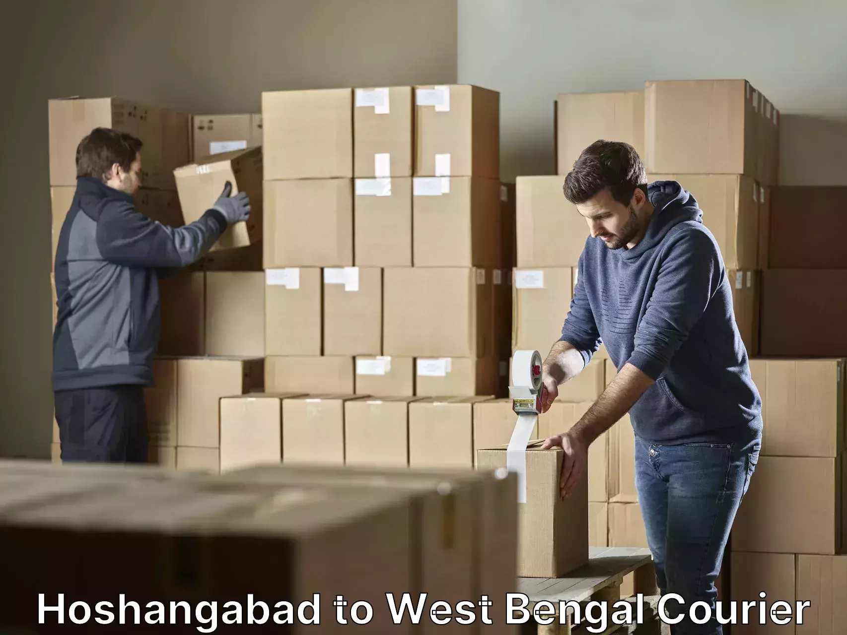 Affordable relocation services Hoshangabad to Tribeni