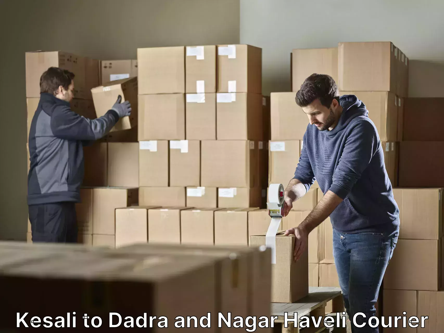 Professional packing services Kesali to Dadra and Nagar Haveli