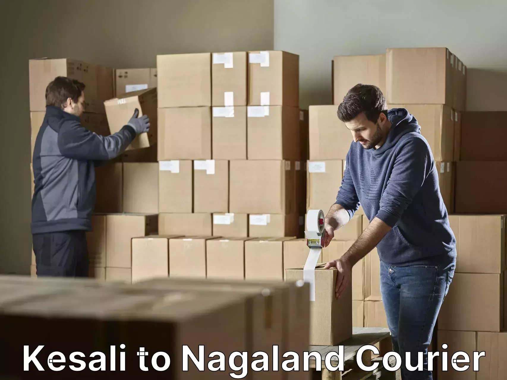 Furniture transport professionals Kesali to NIT Nagaland