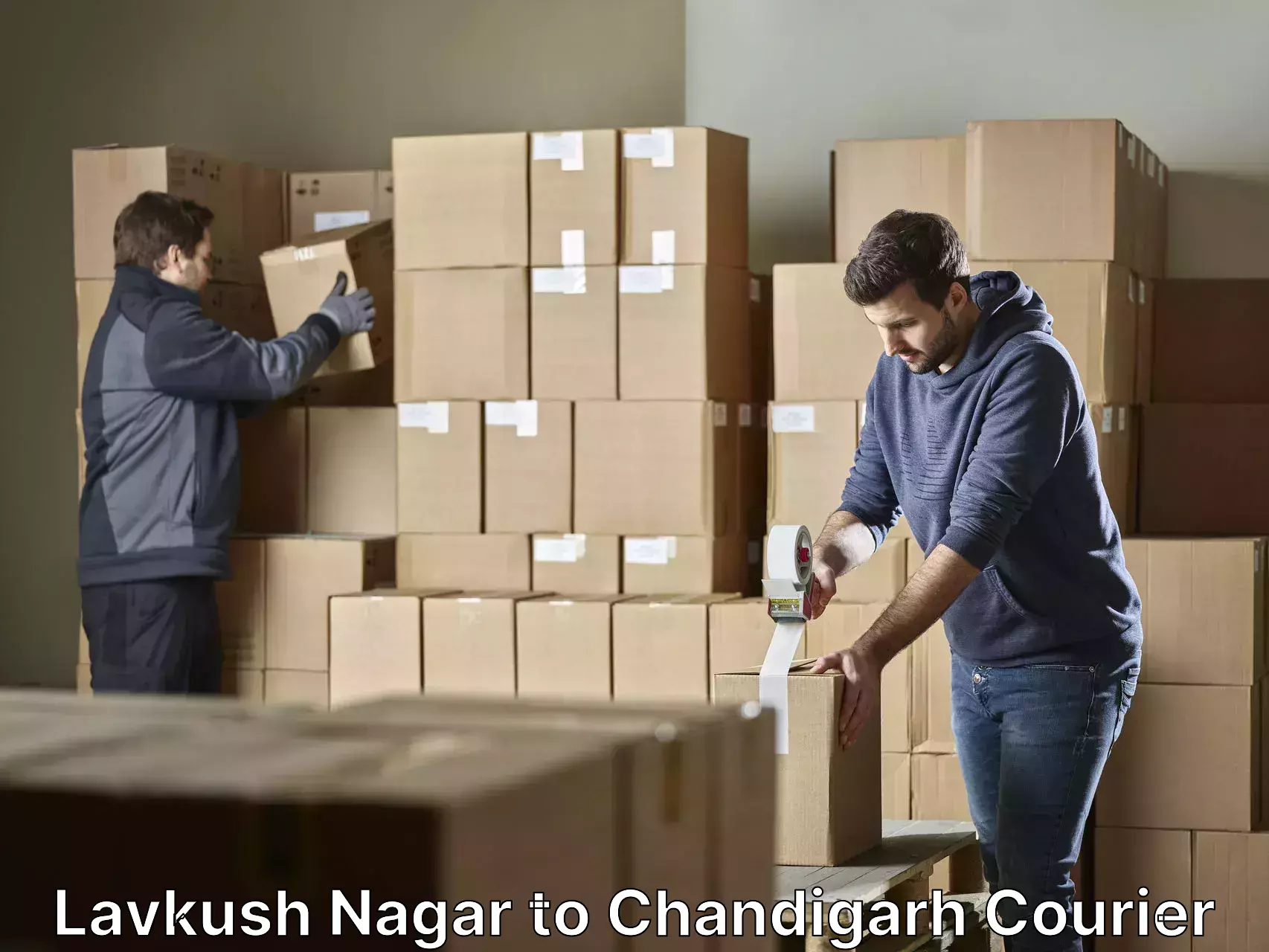 Furniture transport specialists Lavkush Nagar to Chandigarh