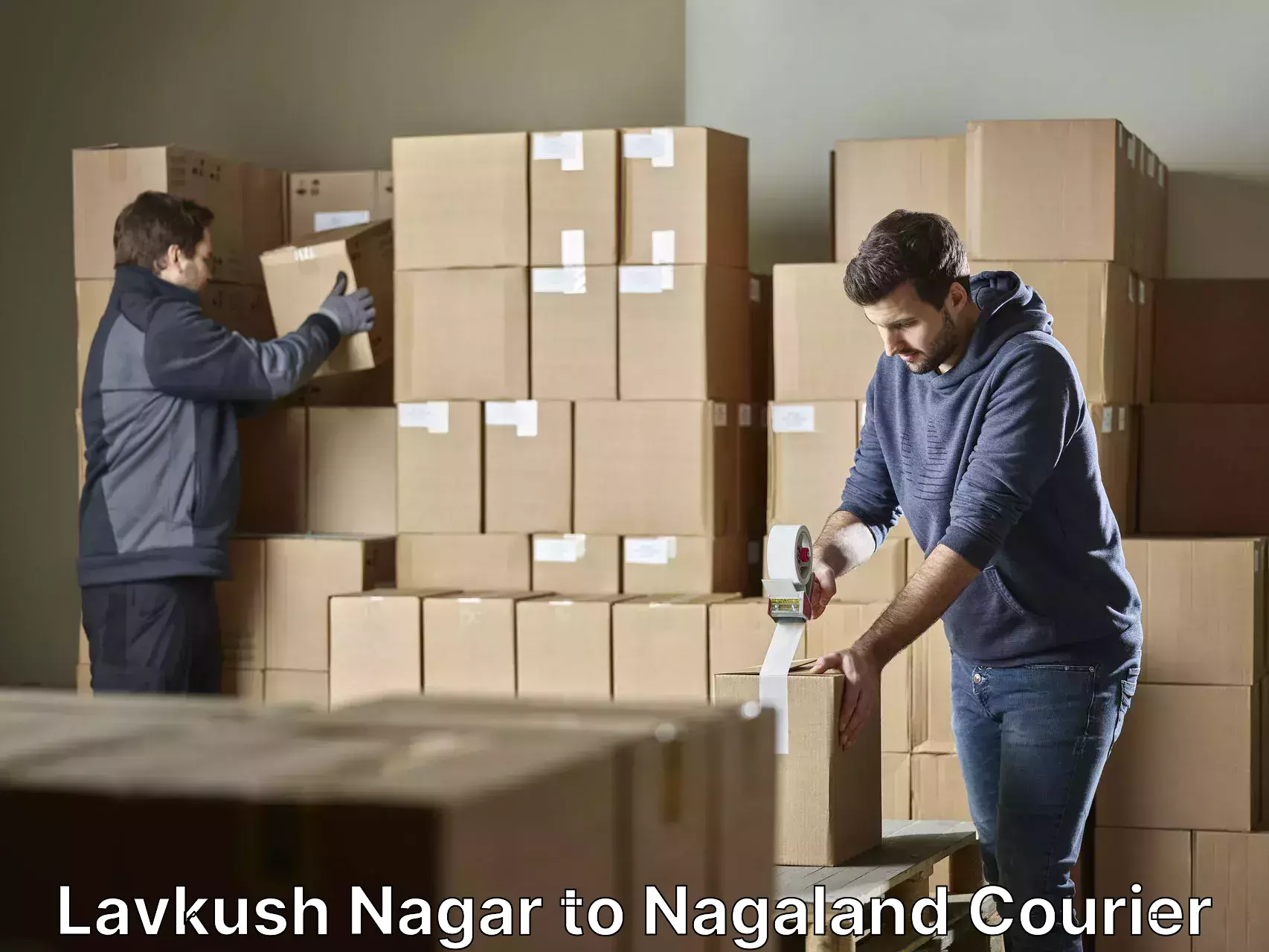 Skilled home shifting Lavkush Nagar to Nagaland