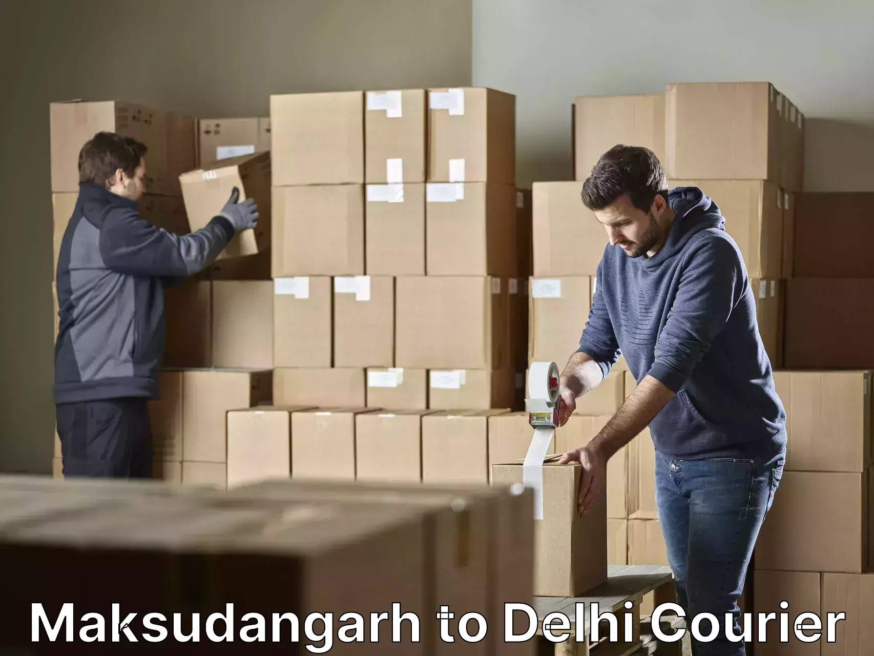 Quality moving and storage in Maksudangarh to Delhi