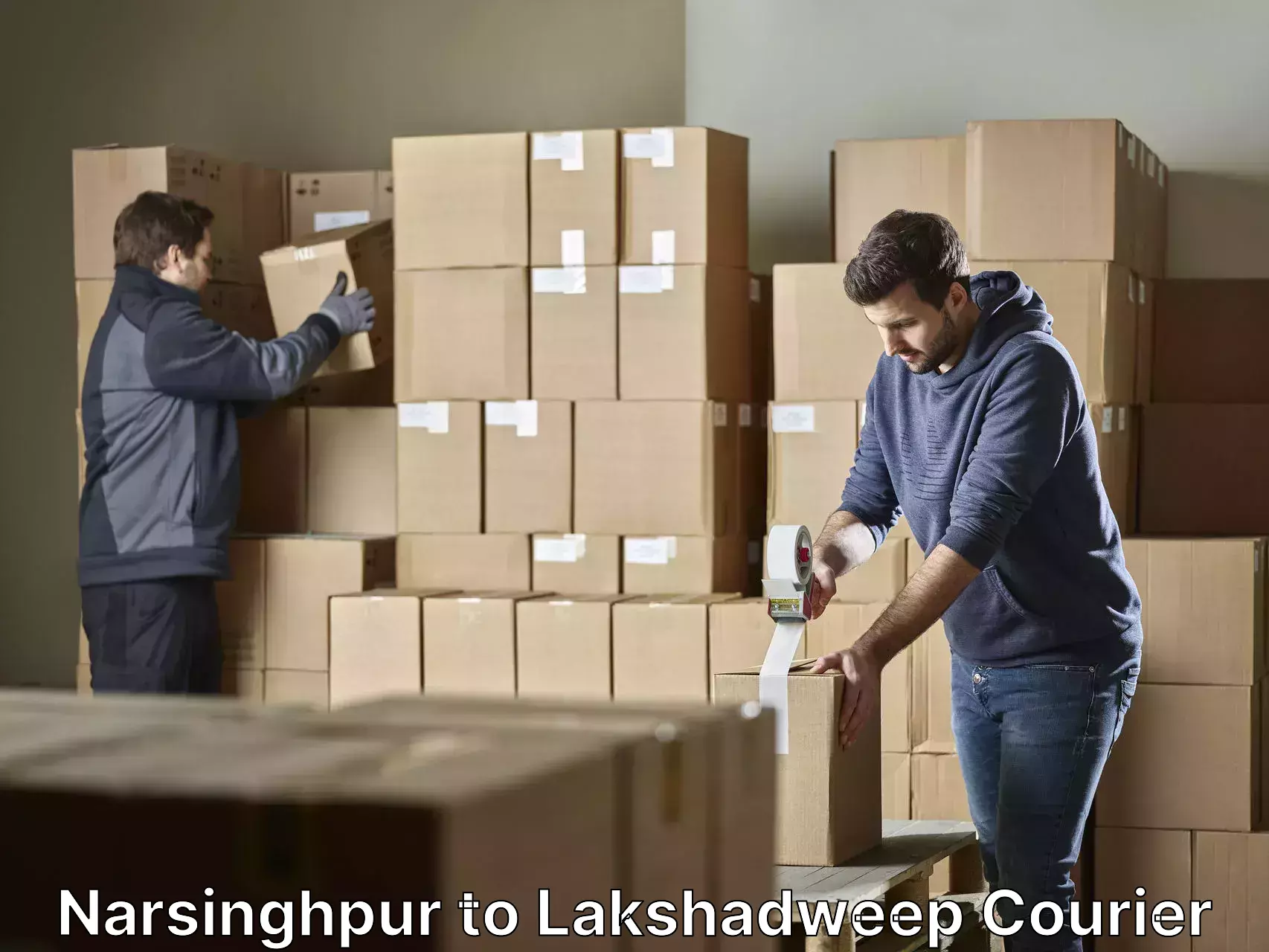 Professional furniture movers Narsinghpur to Lakshadweep