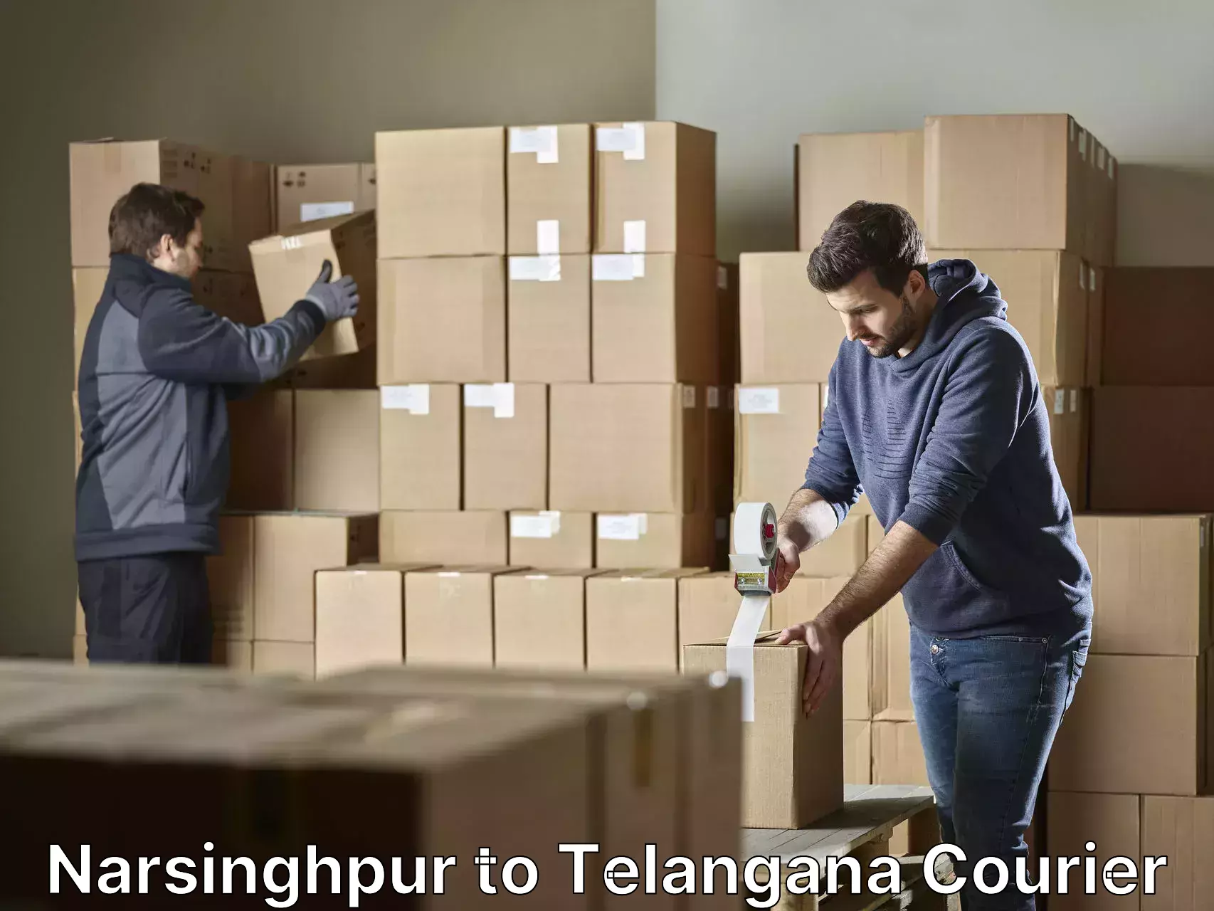 Quality moving services Narsinghpur to Chintoor