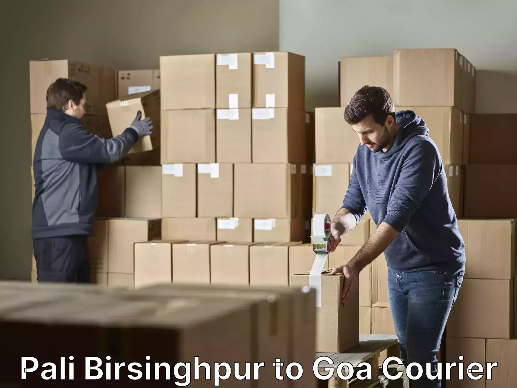 Efficient packing services Pali Birsinghpur to Vasco da Gama