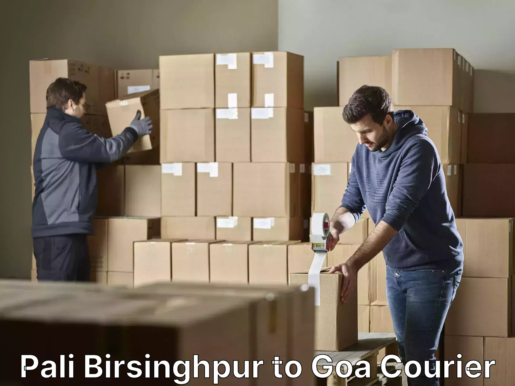 Trusted moving company Pali Birsinghpur to Goa University