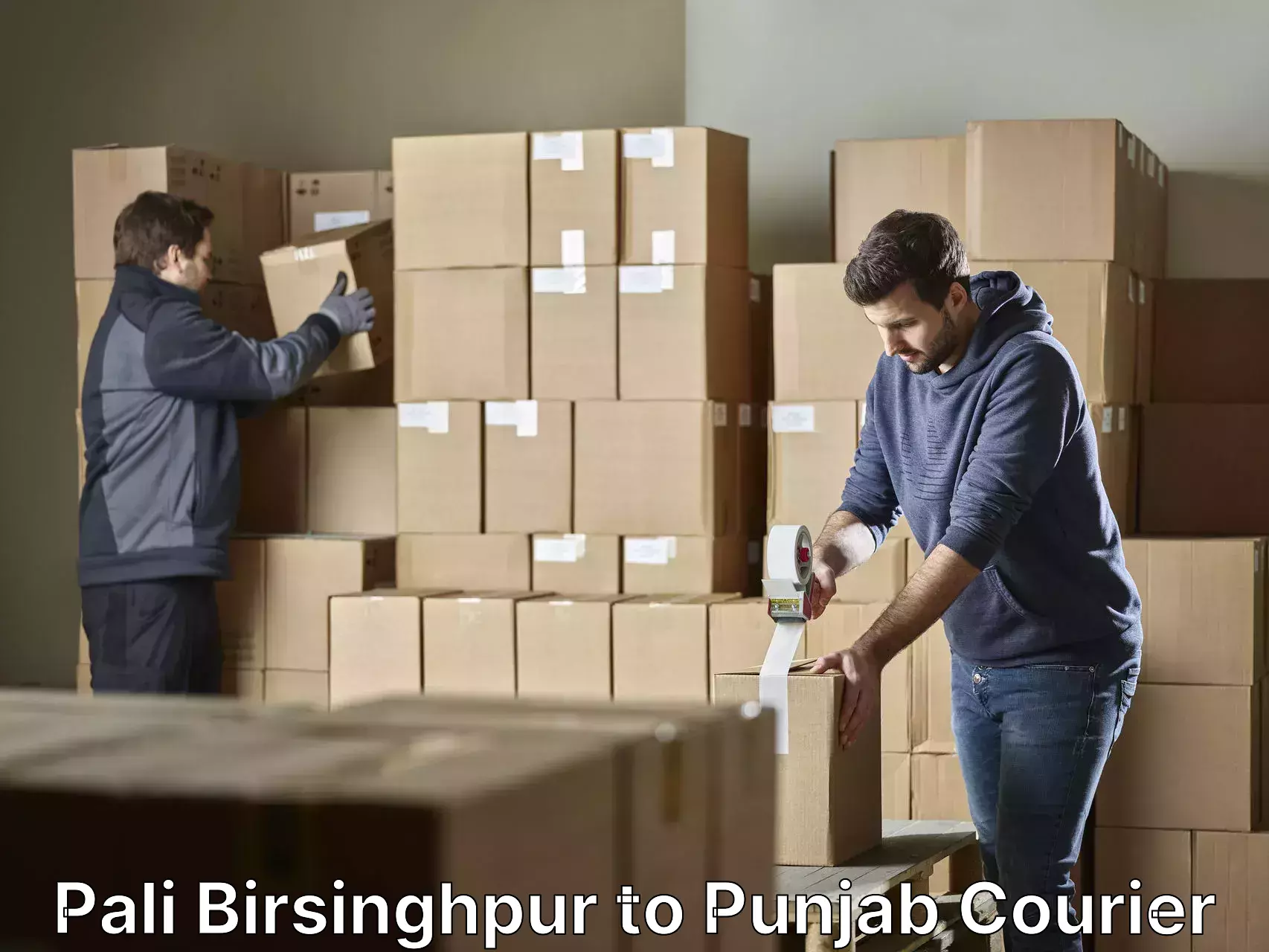 Furniture shipping services Pali Birsinghpur to NIT Jallandhar