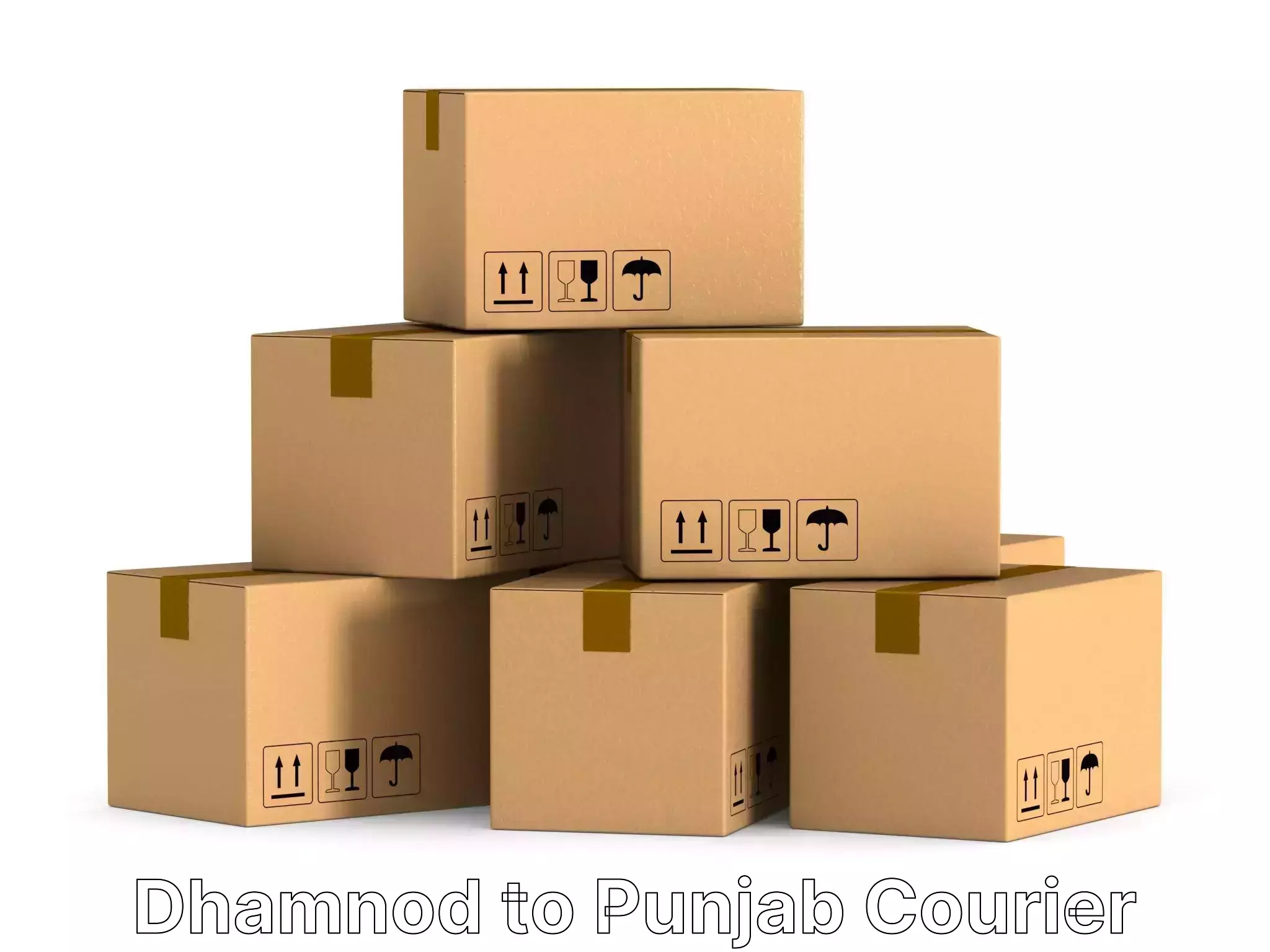 Easy furniture transport Dhamnod to Punjab