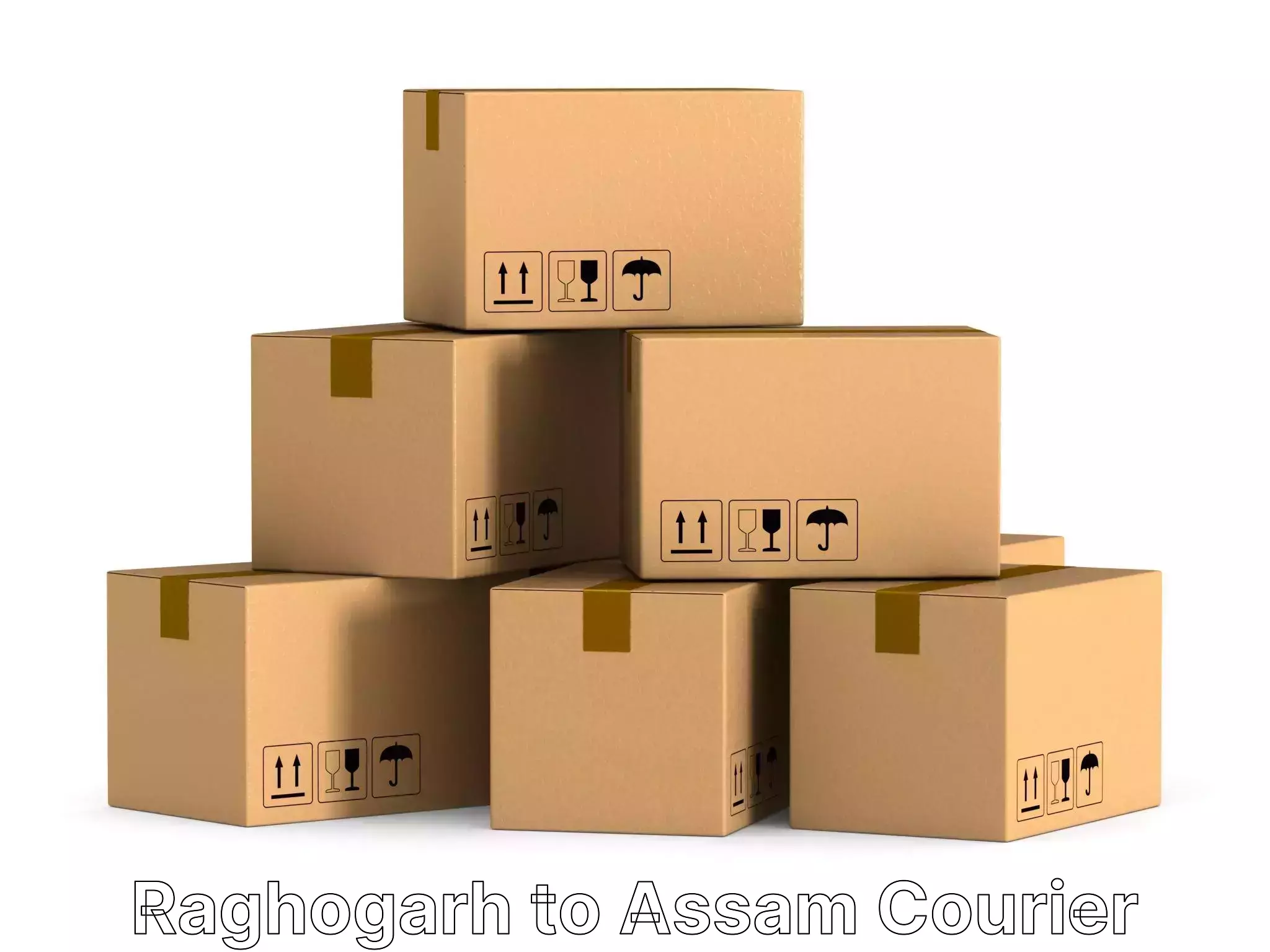 Efficient home relocation Raghogarh to Bongaigaon