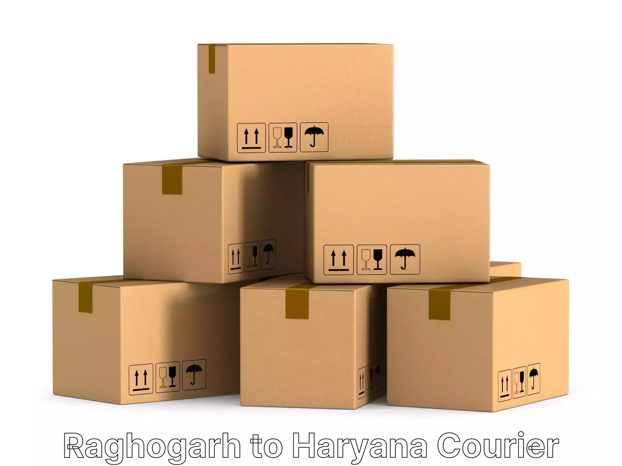 Professional goods transport Raghogarh to NCR Haryana