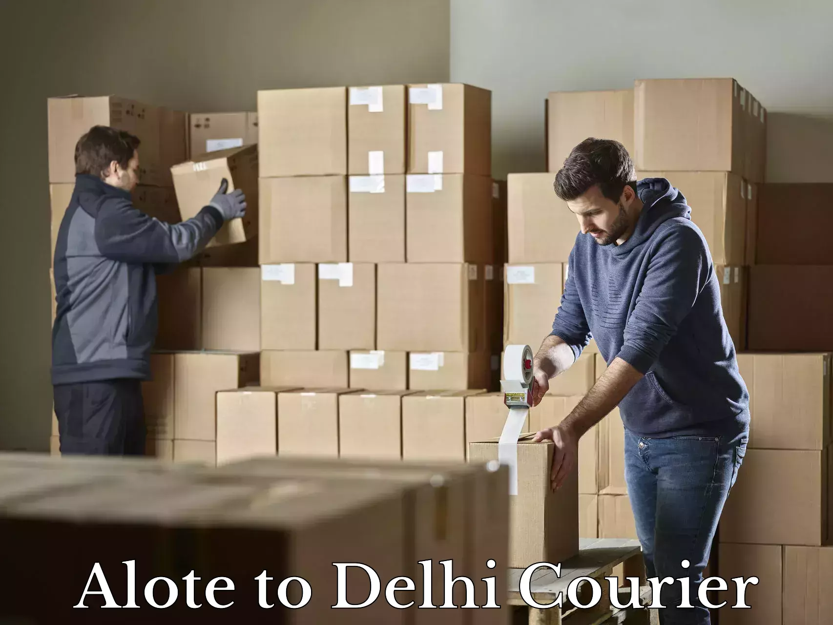 Luggage delivery logistics Alote to IIT Delhi