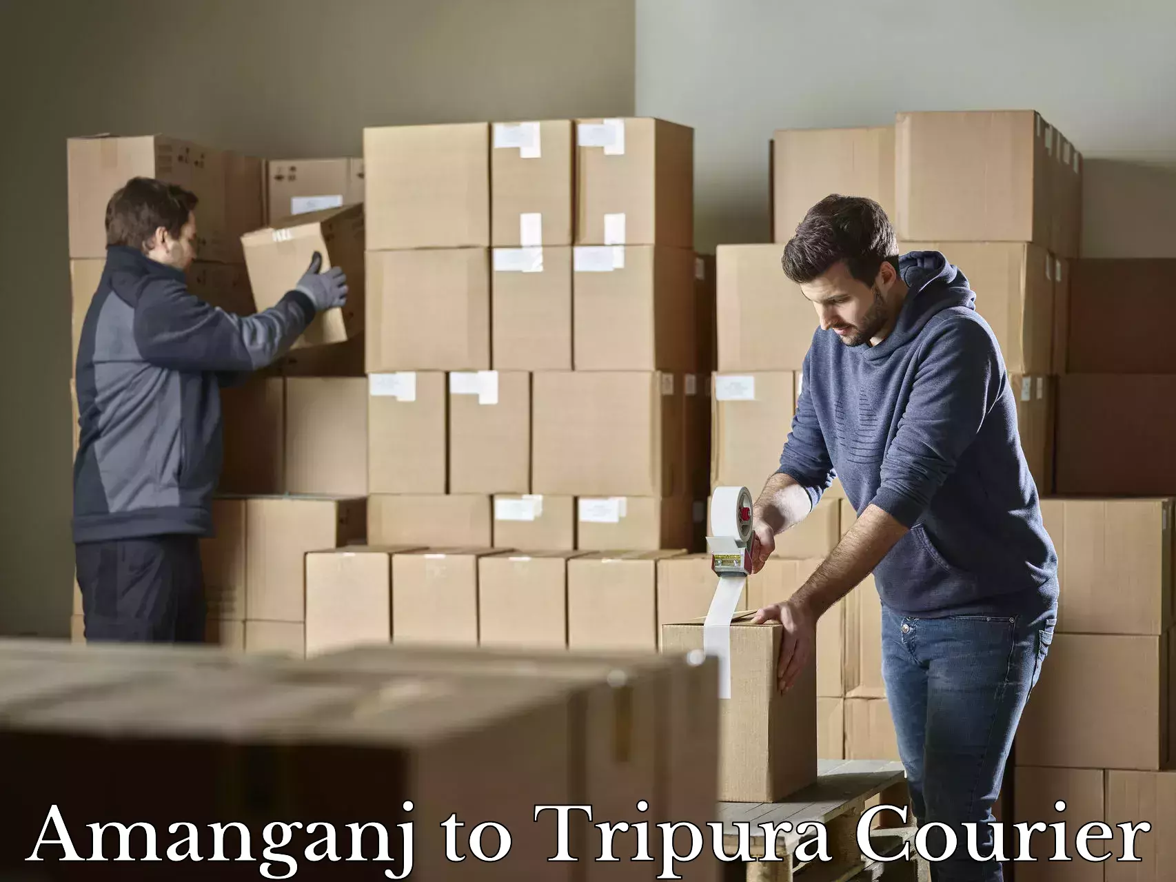 Luggage delivery network Amanganj to South Tripura