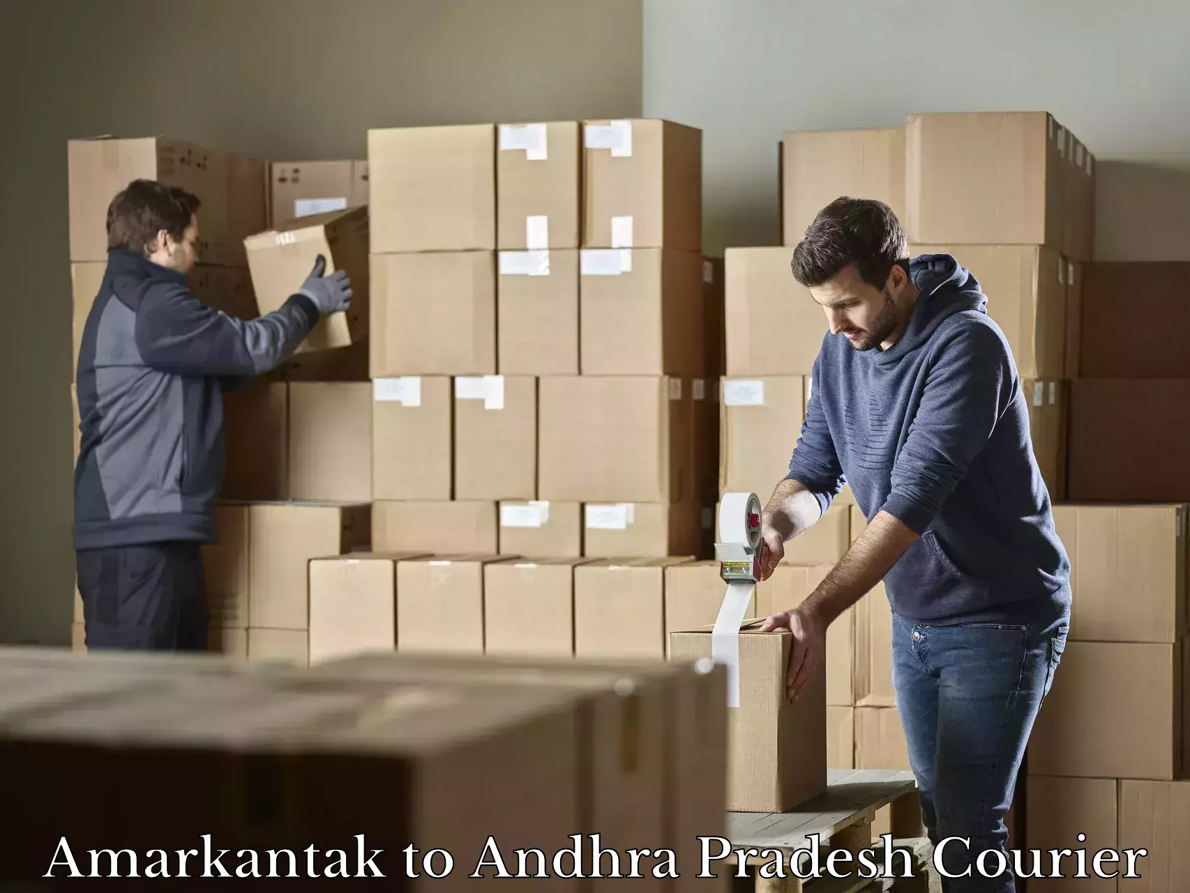 Light baggage courier Amarkantak to Padmanabham Visakhapatnam