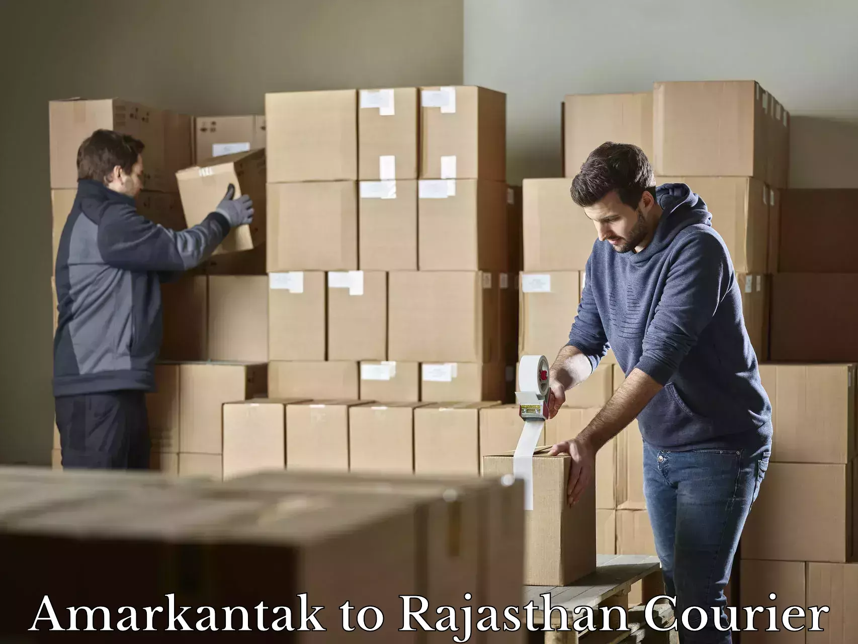 Baggage transport coordination Amarkantak to Rajasthan