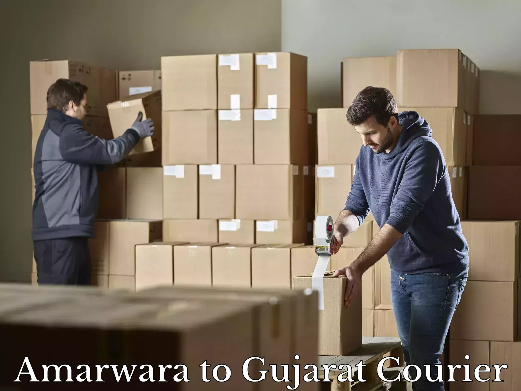 Door-to-door baggage service Amarwara to Gujarat