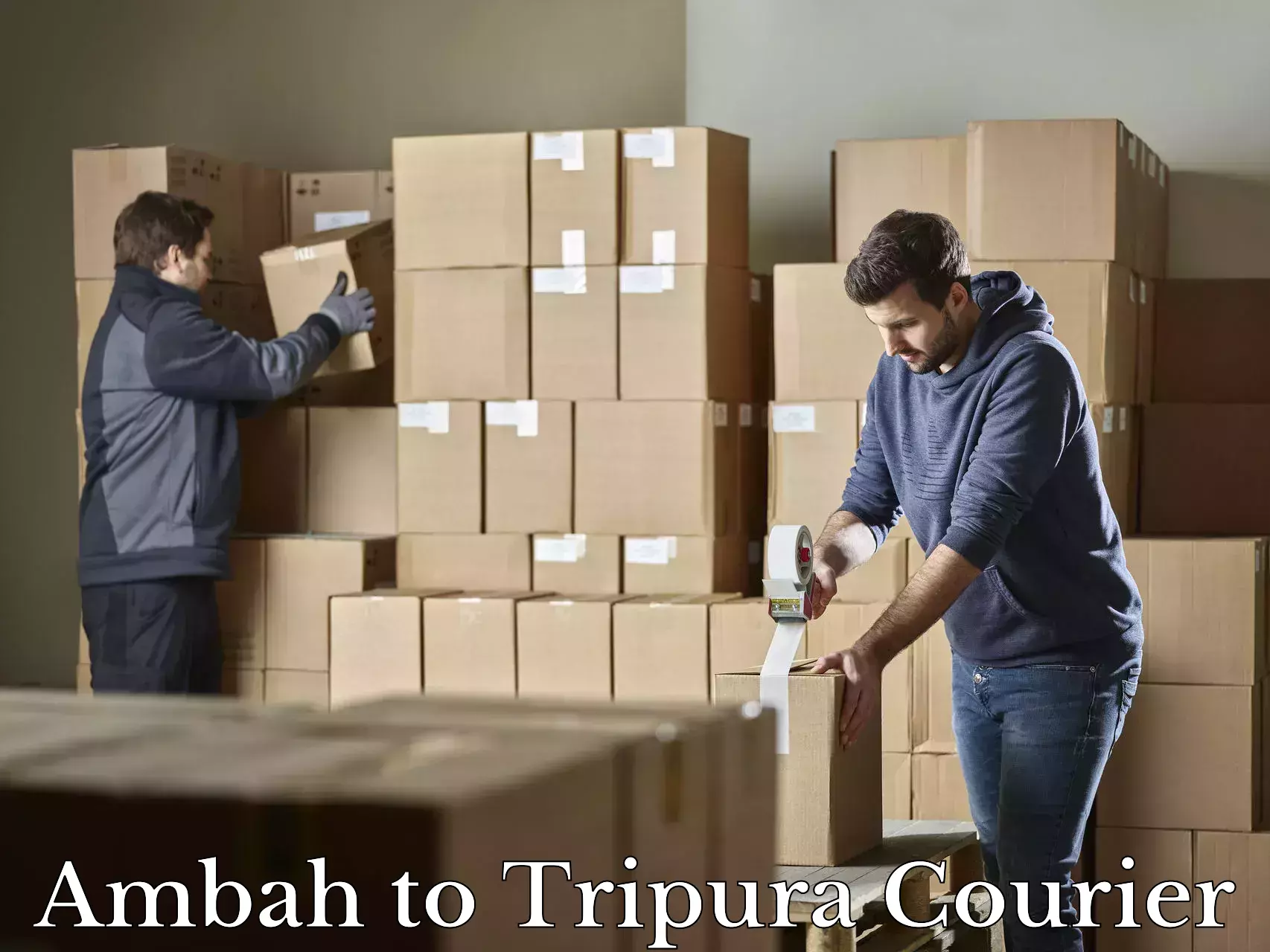 Reliable baggage delivery Ambah to West Tripura