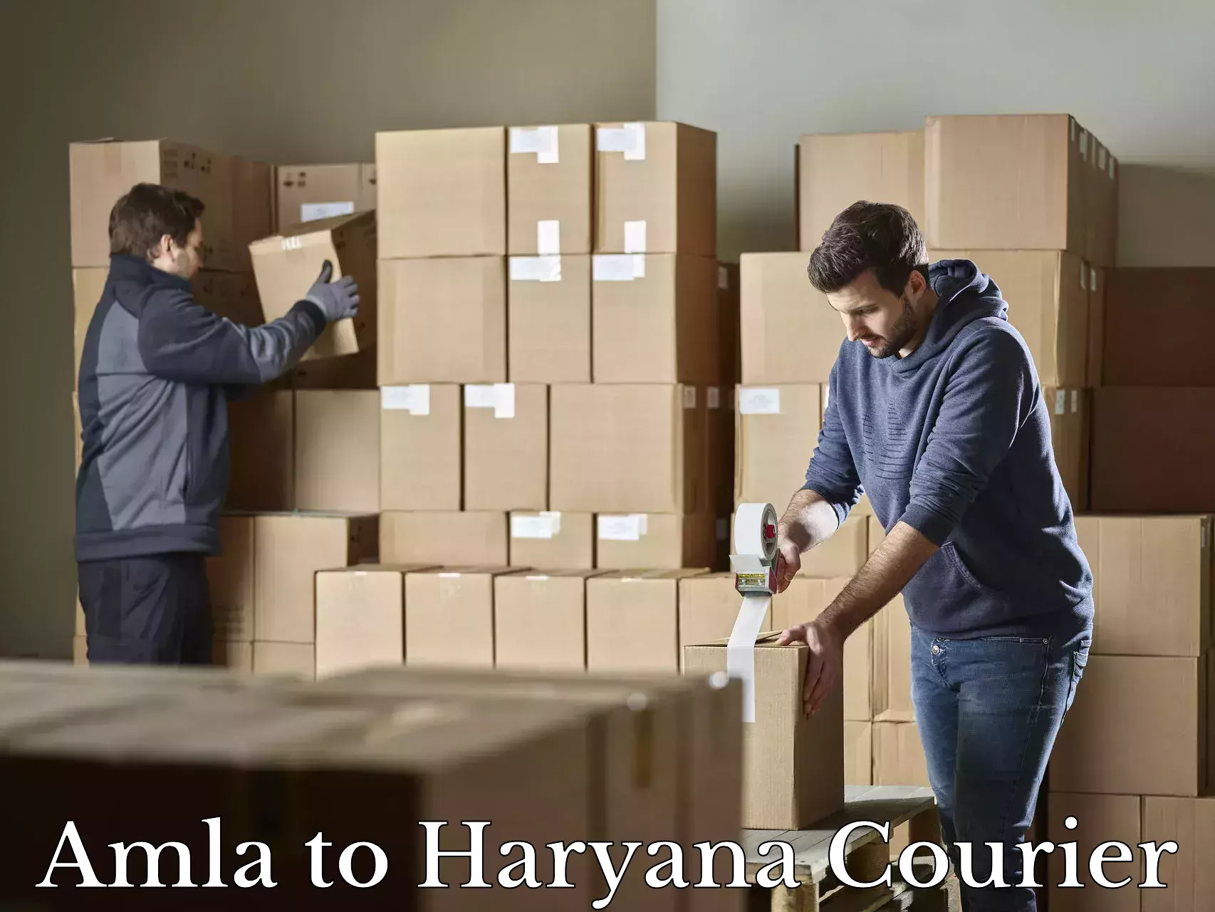 Efficient baggage courier system Amla to Gurgaon