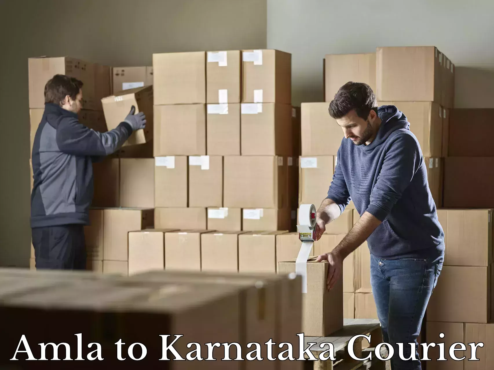 Reliable luggage courier Amla to Karnataka